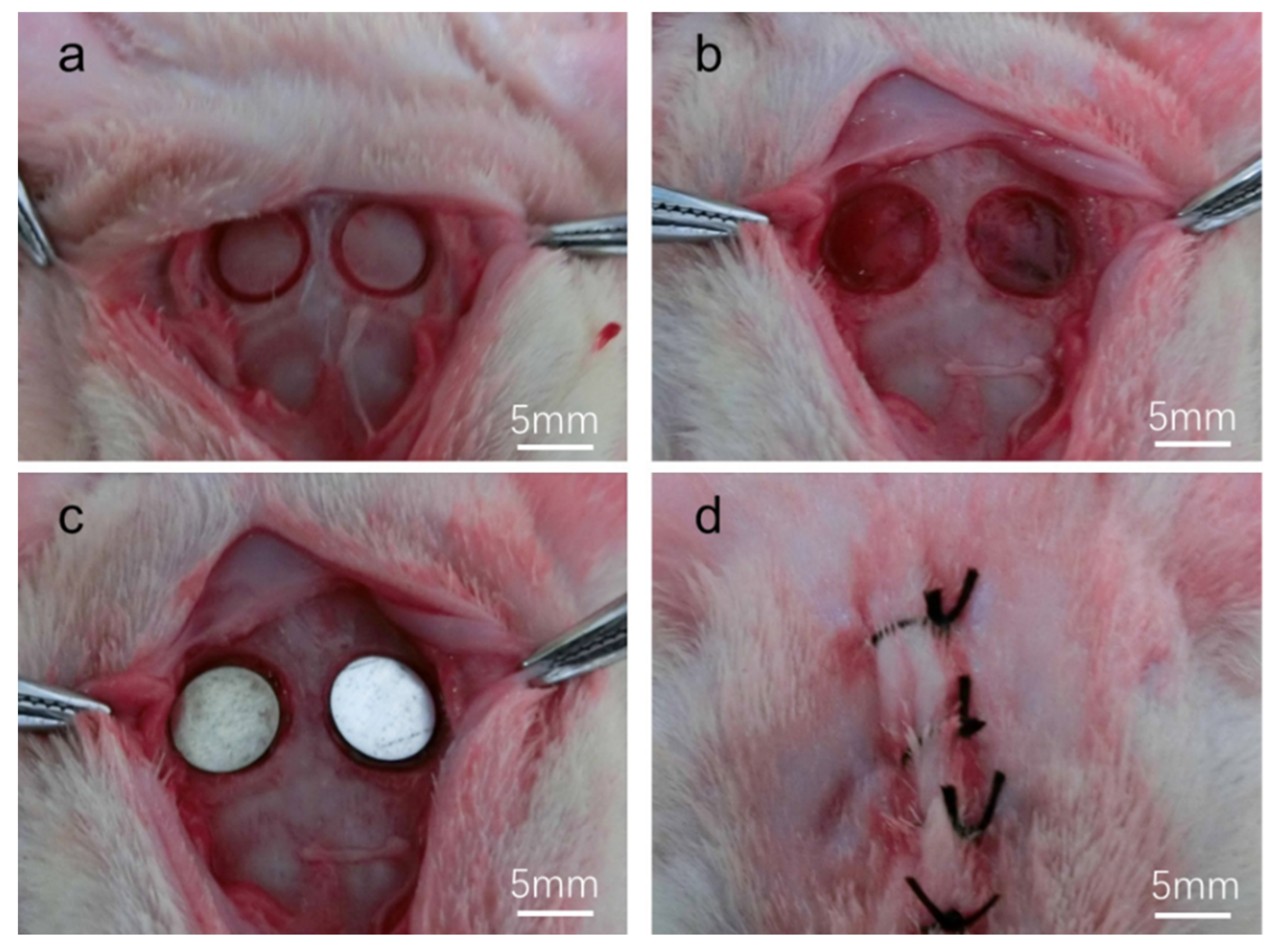 Coatings 10 00496 g001