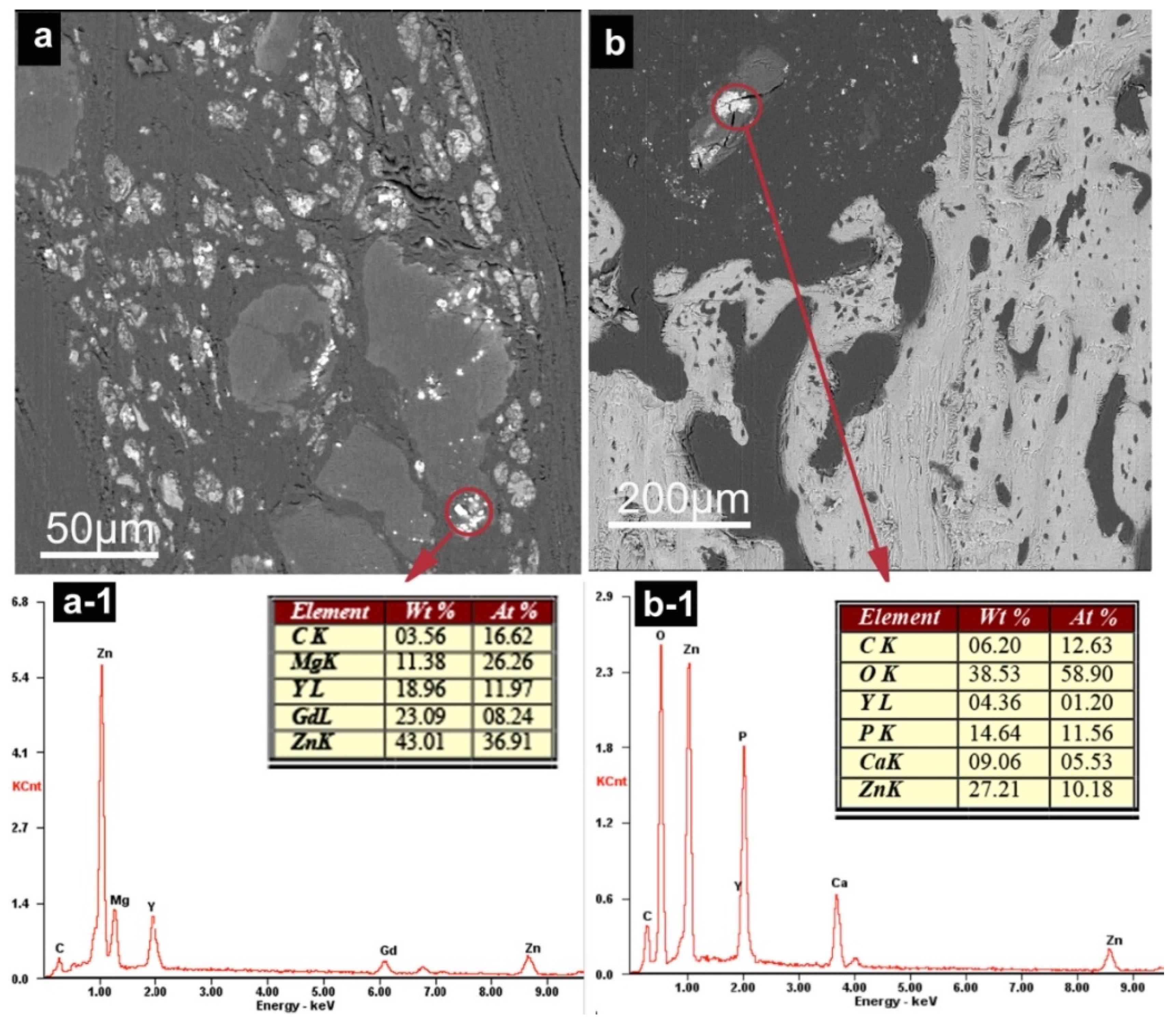 Coatings 10 00496 g009