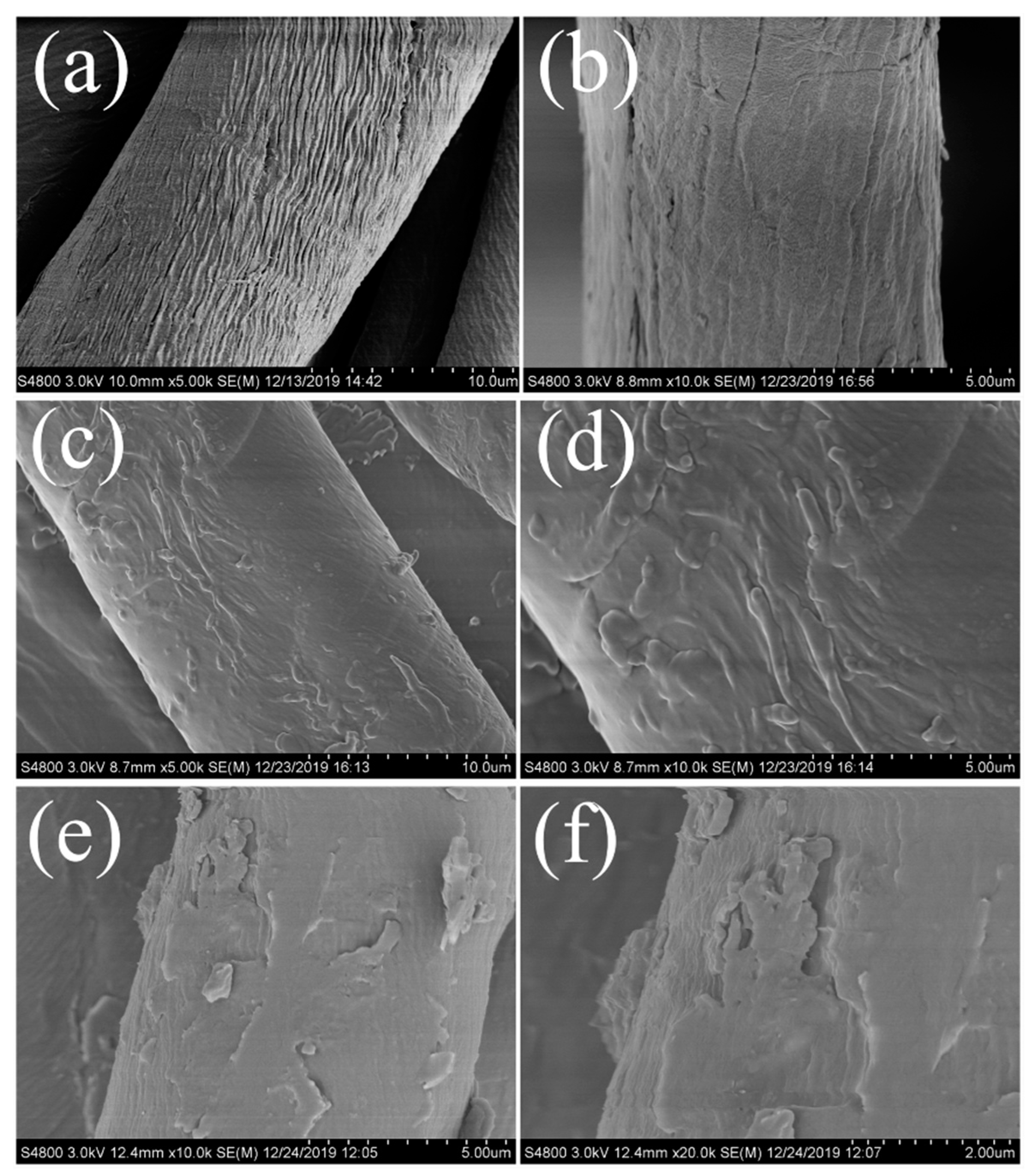 Coatings 10 00508 g003