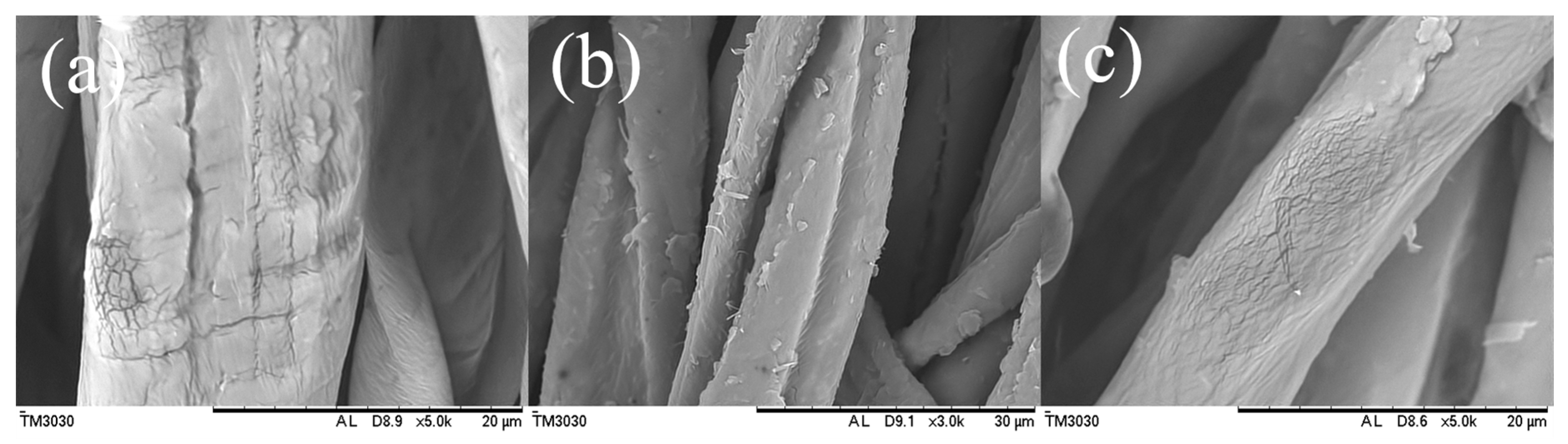 Coatings 10 00508 g008