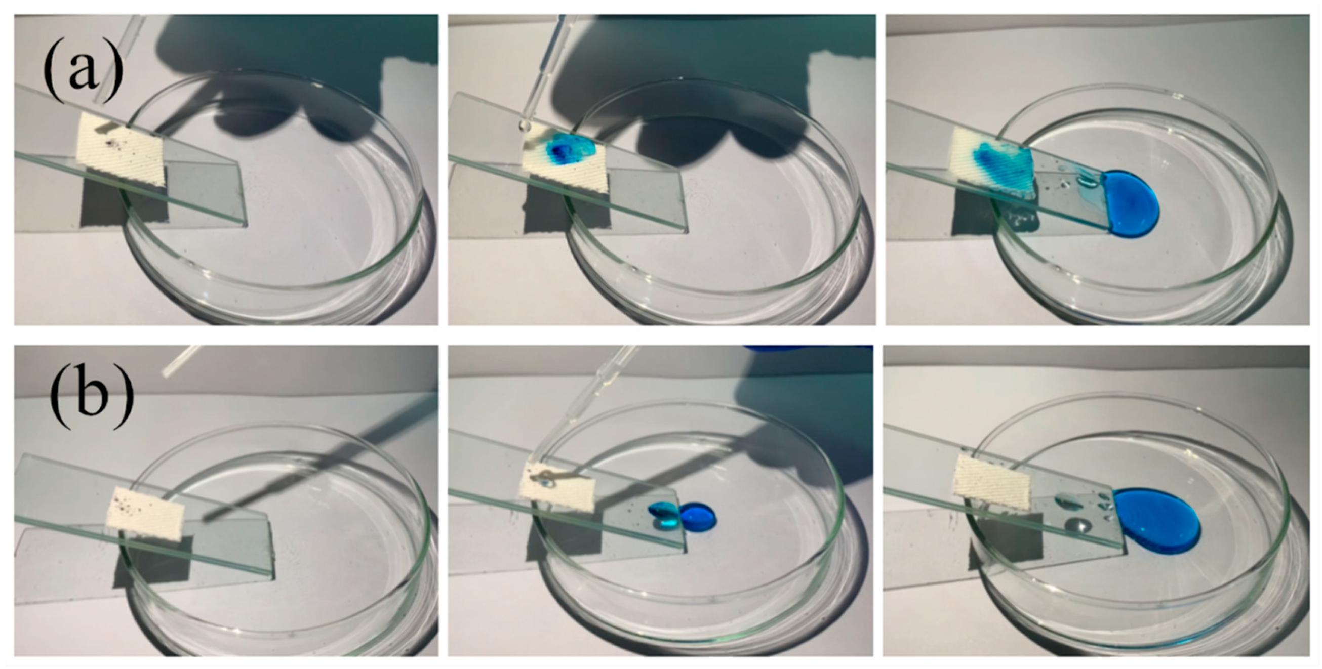 Coatings 10 00508 g009