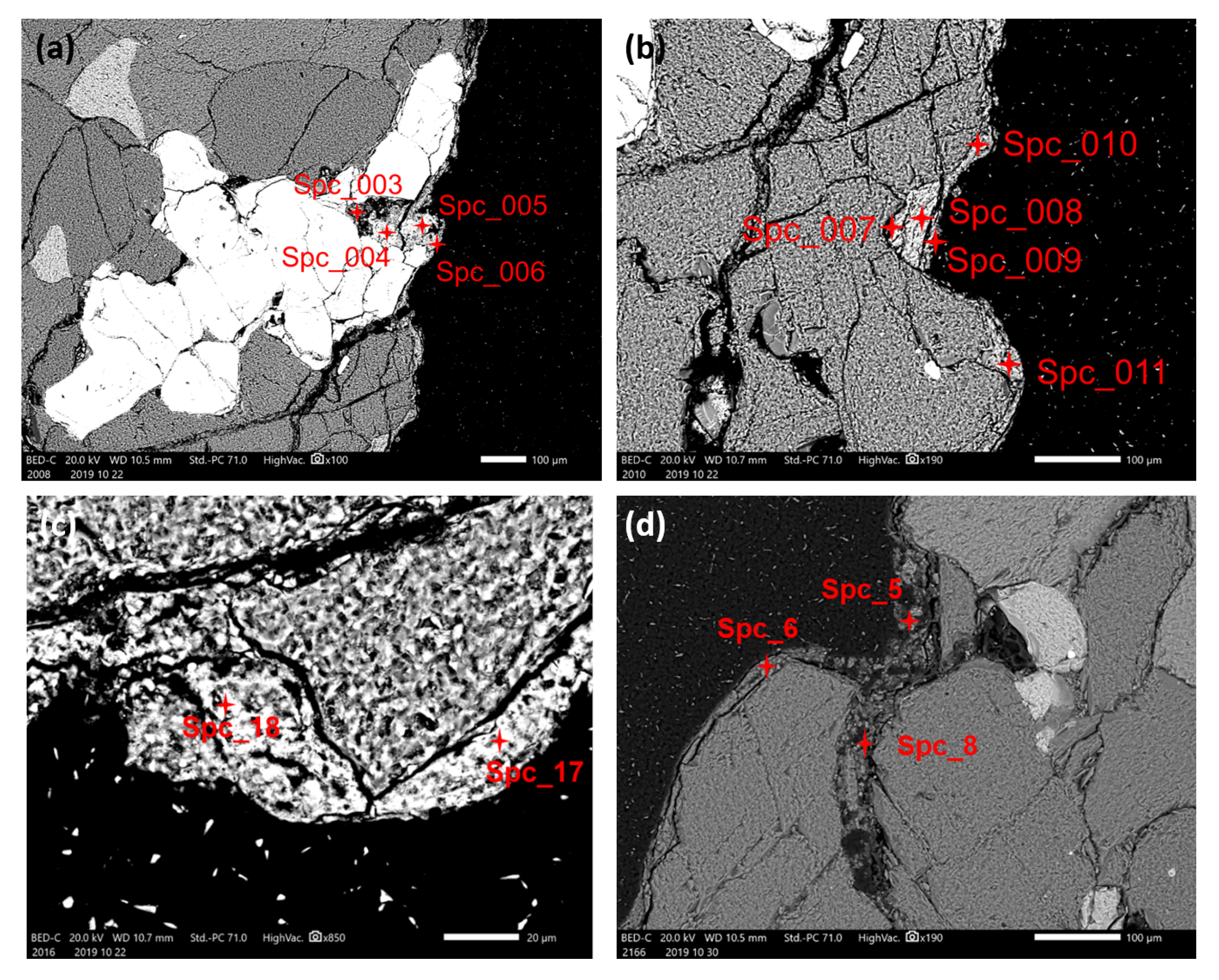 Coatings 10 00536 g003
