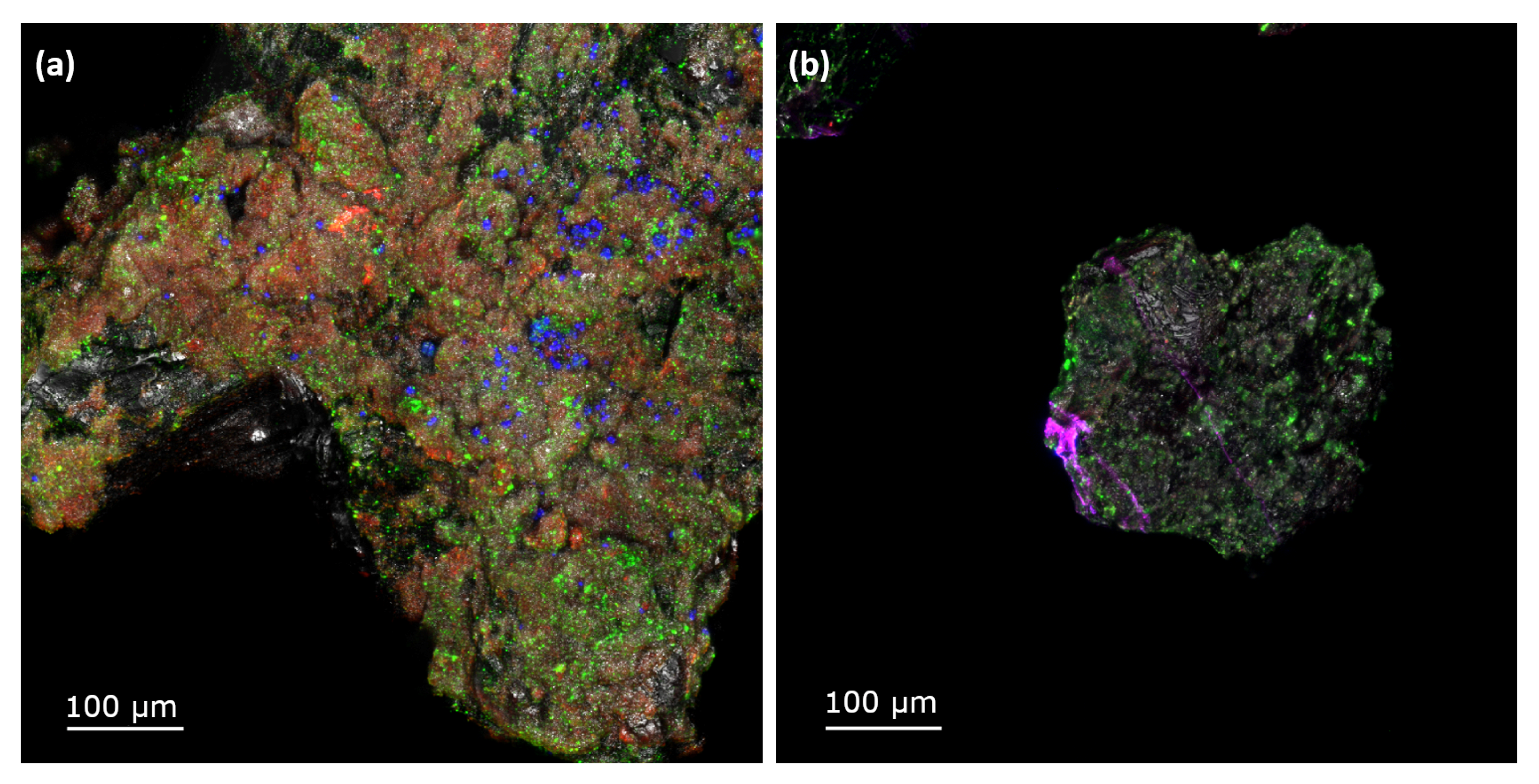 Coatings 10 00536 g004