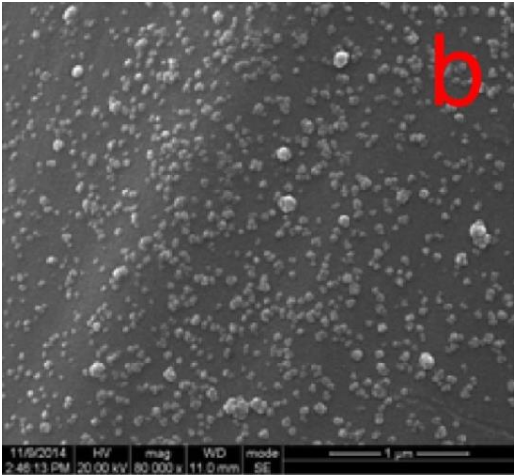 Coatings 10 00556 g011