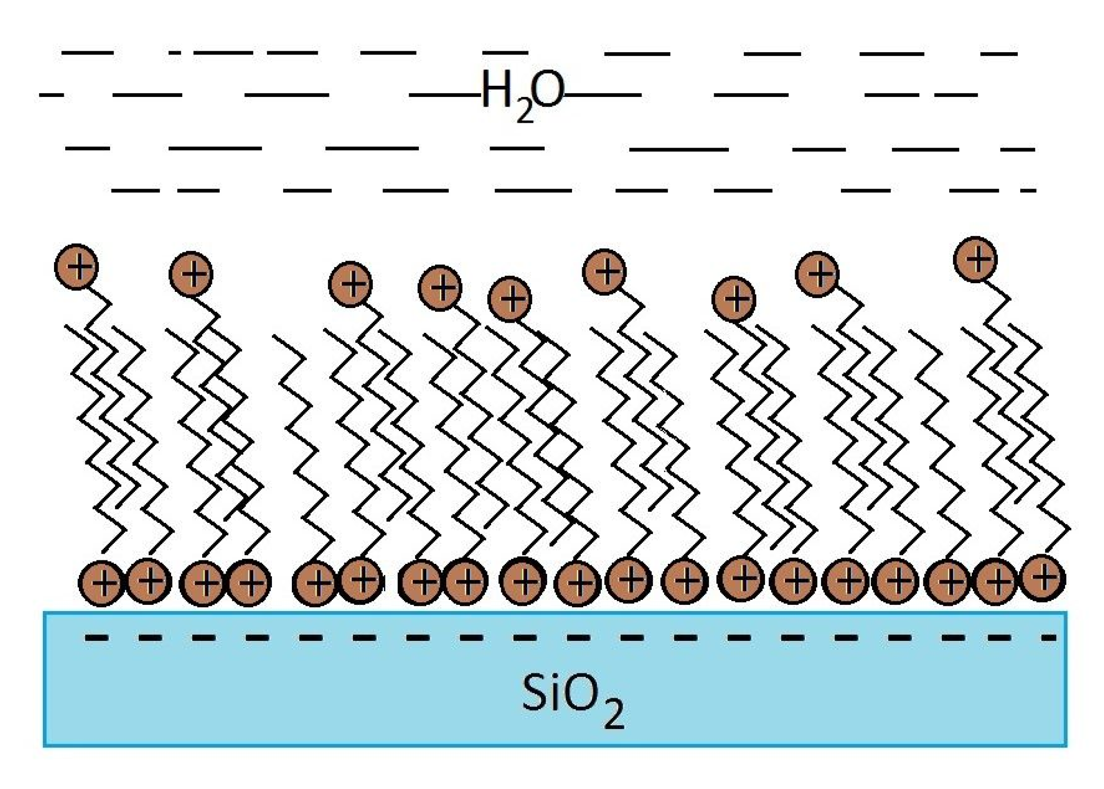 Coatings 10 00573 g007