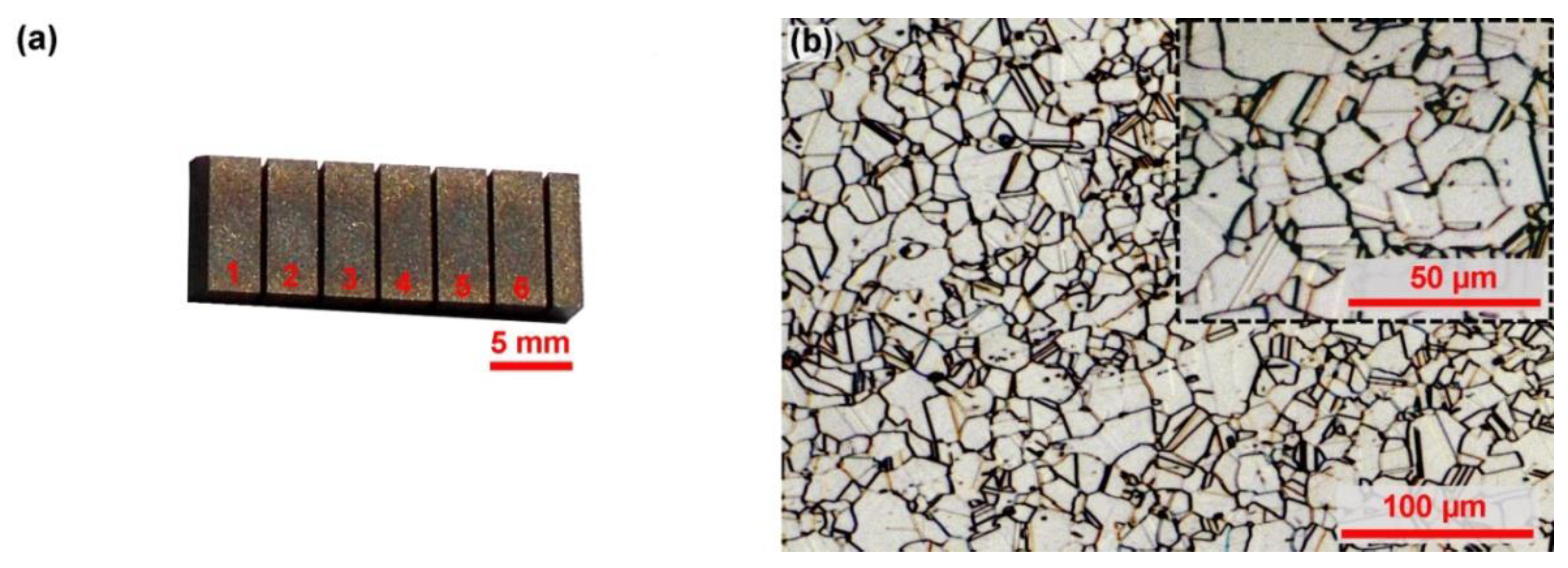 Coatings 10 00590 g001