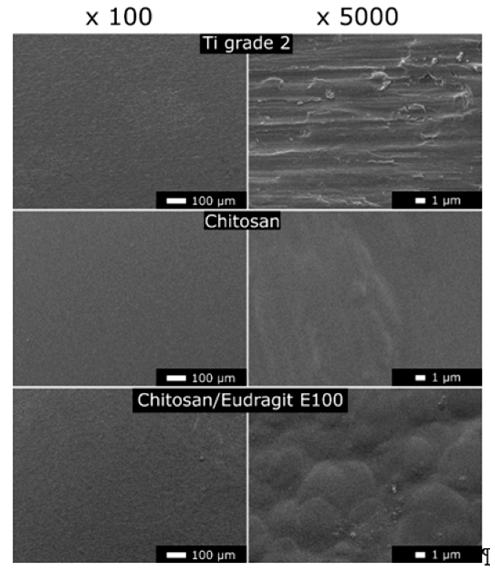 Coatings 10 00607 g009 Coatings 10 00607 g009