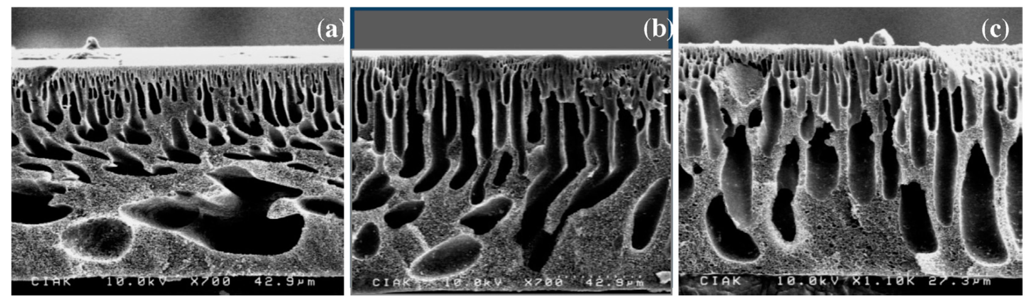 Coatings 10 00609 g001
