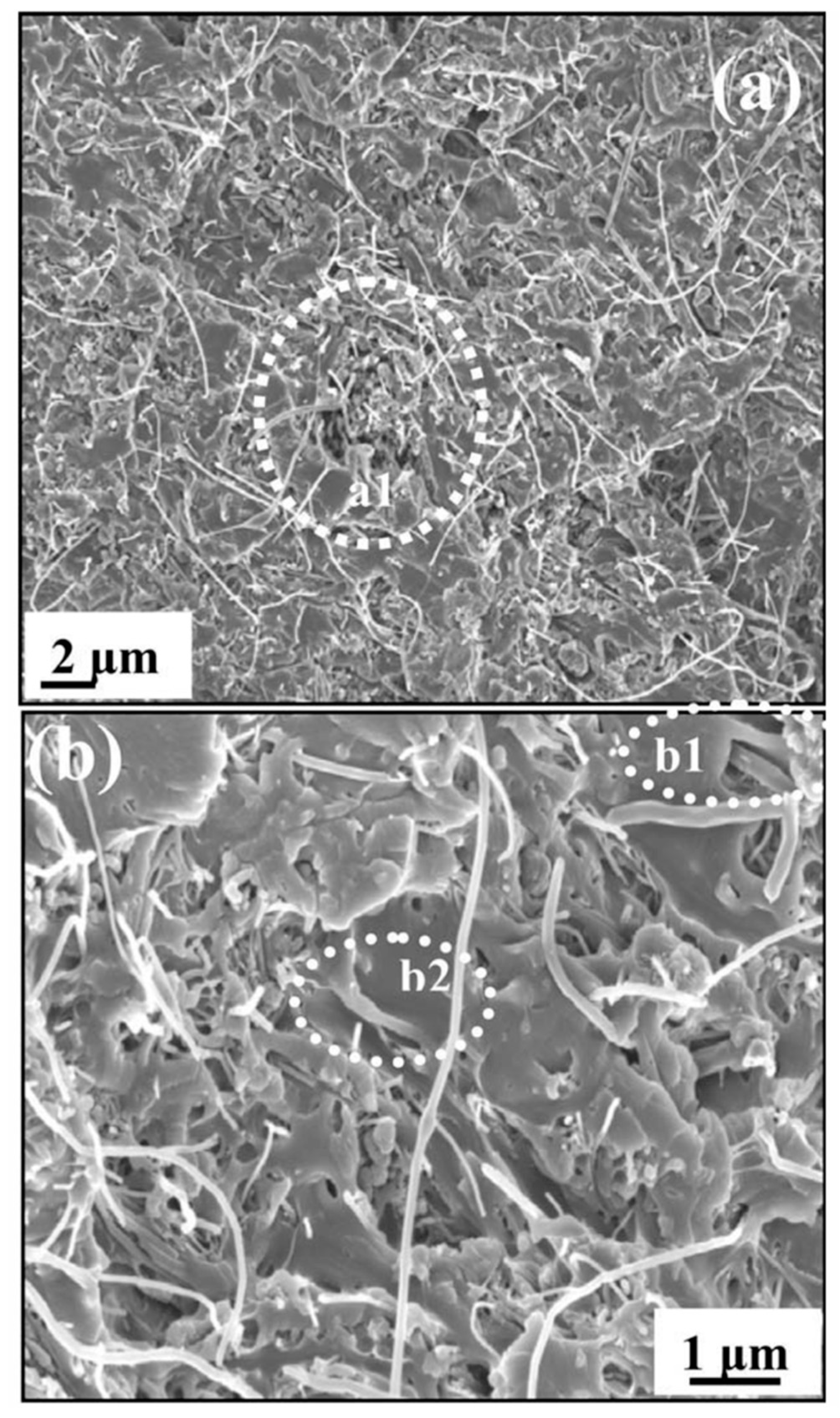 Coatings 10 00609 g006