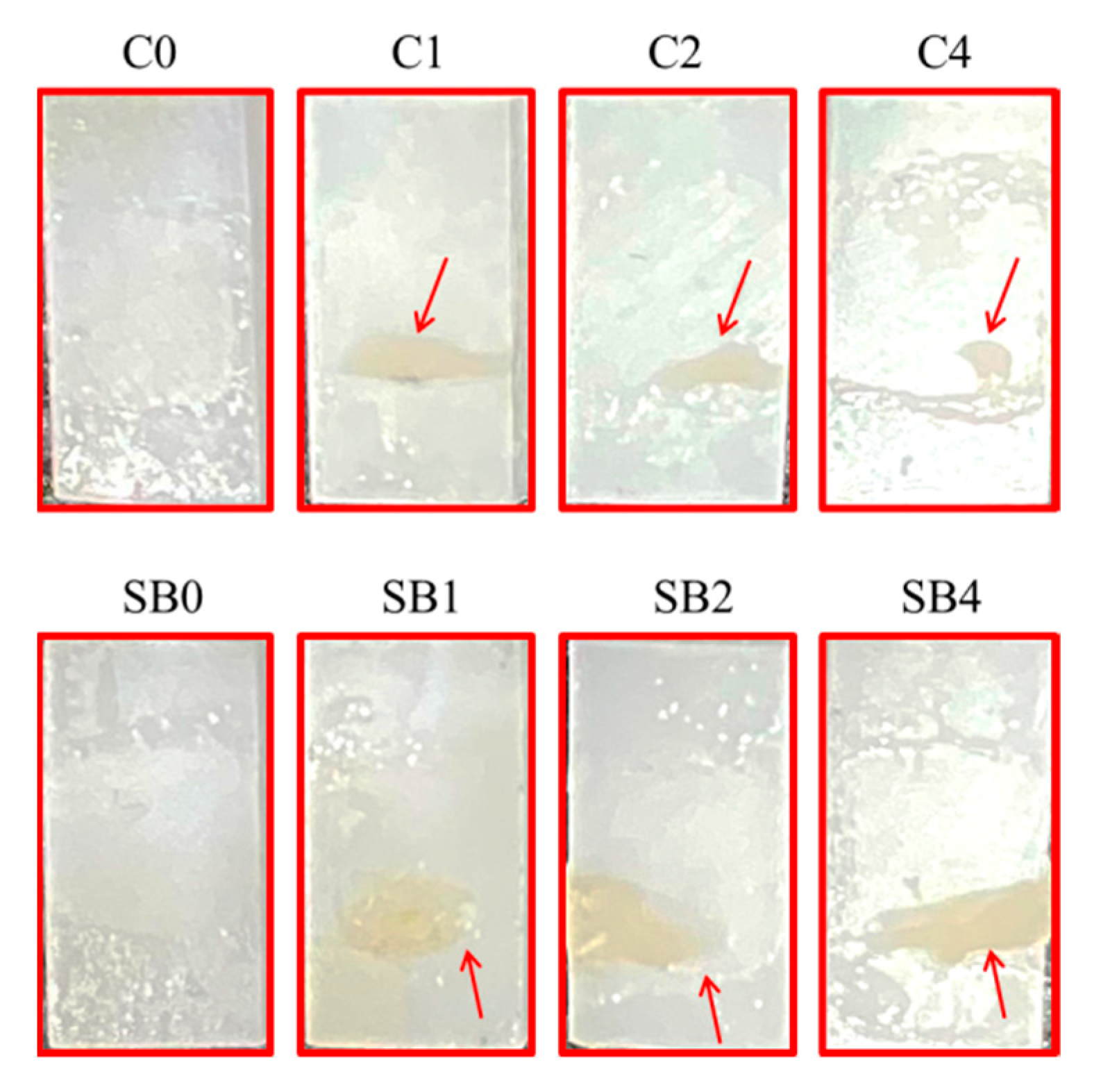 Coatings 10 00635 g008