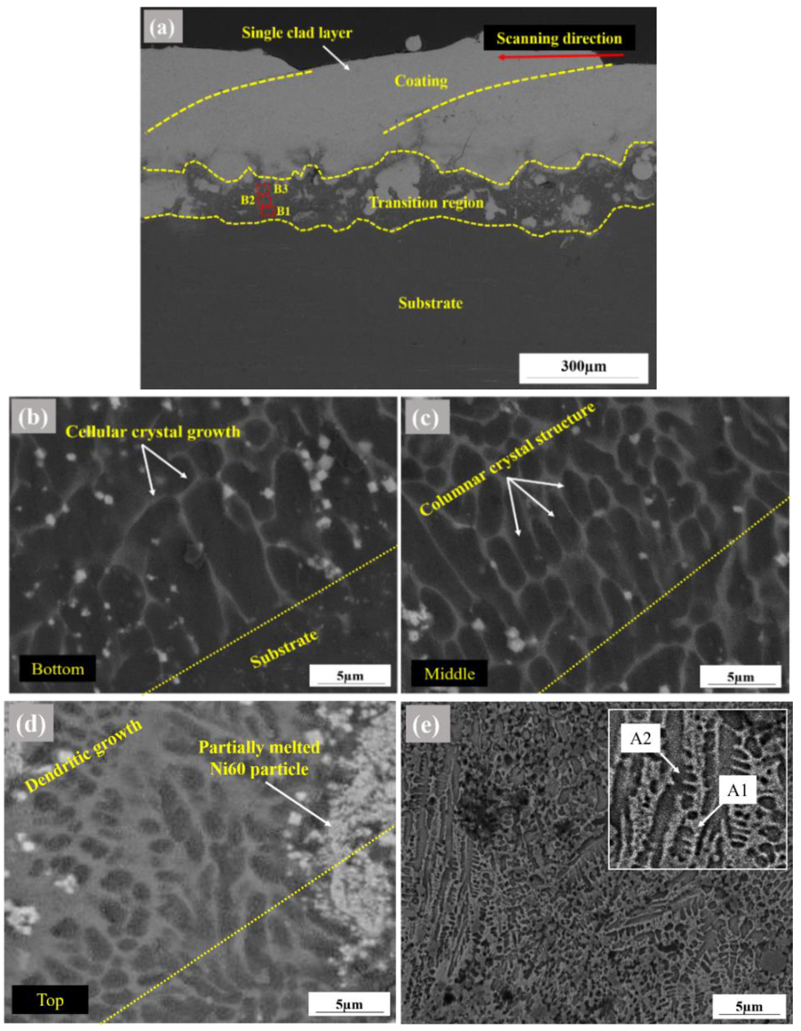 Coatings 10 00638 g003