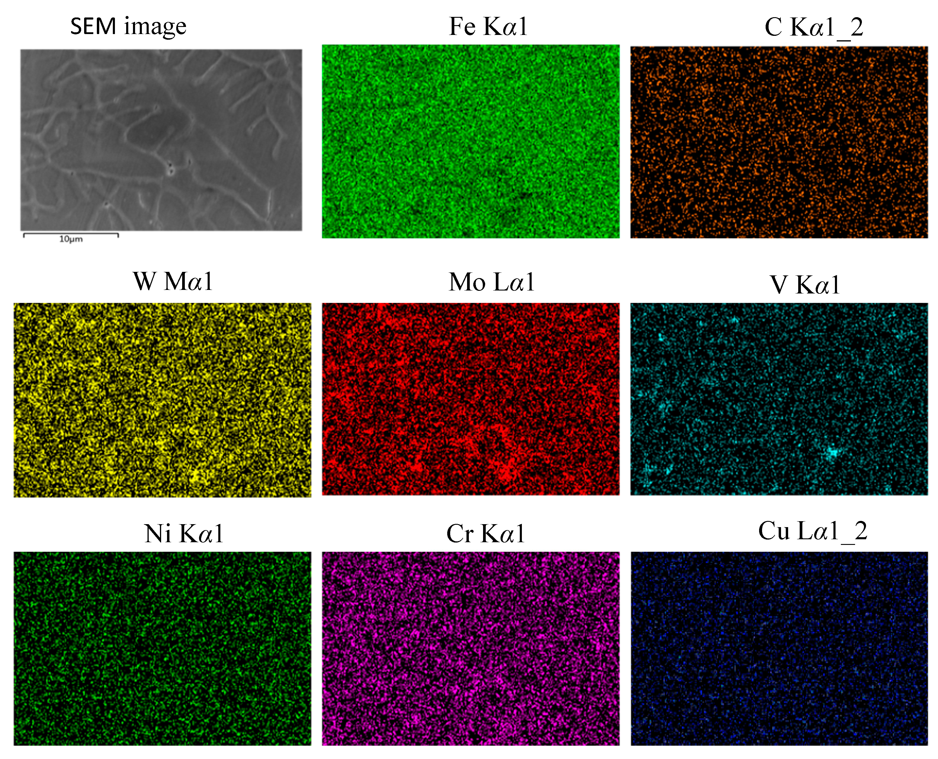 Coatings 10 00641 g006