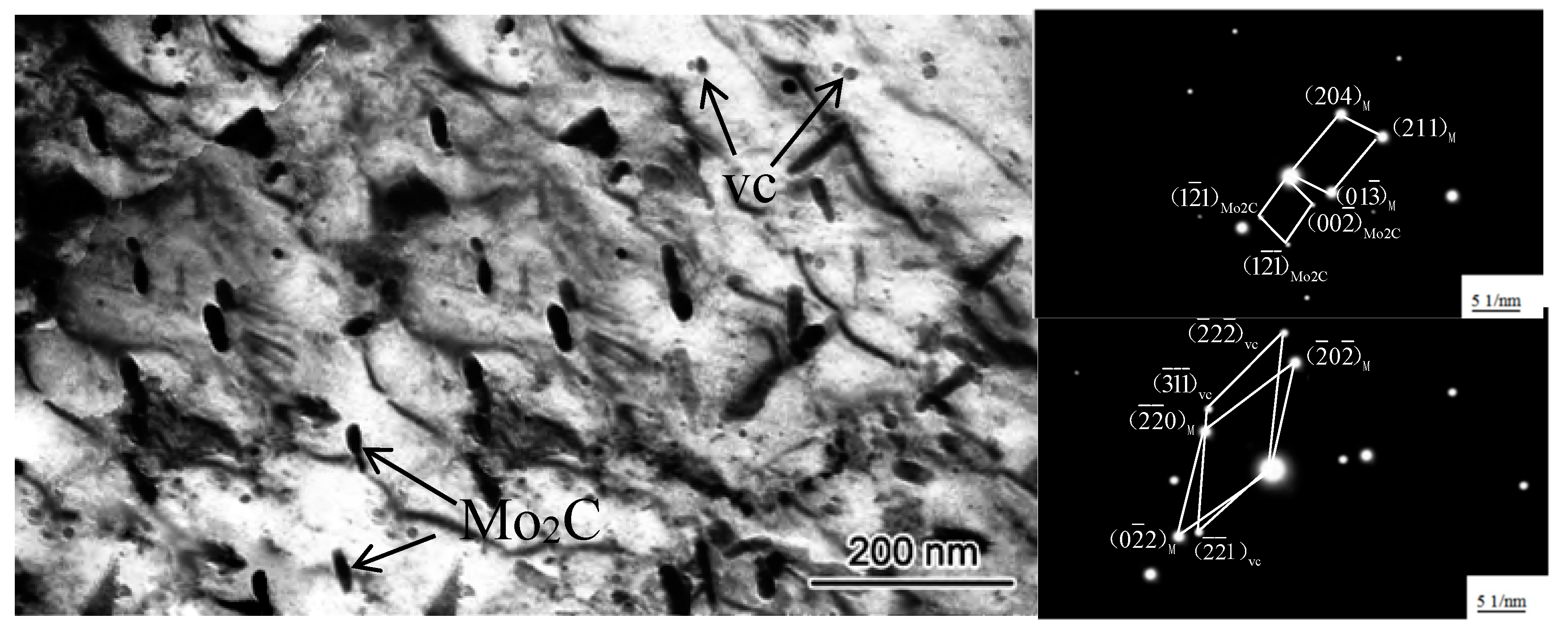 Coatings 10 00641 g010