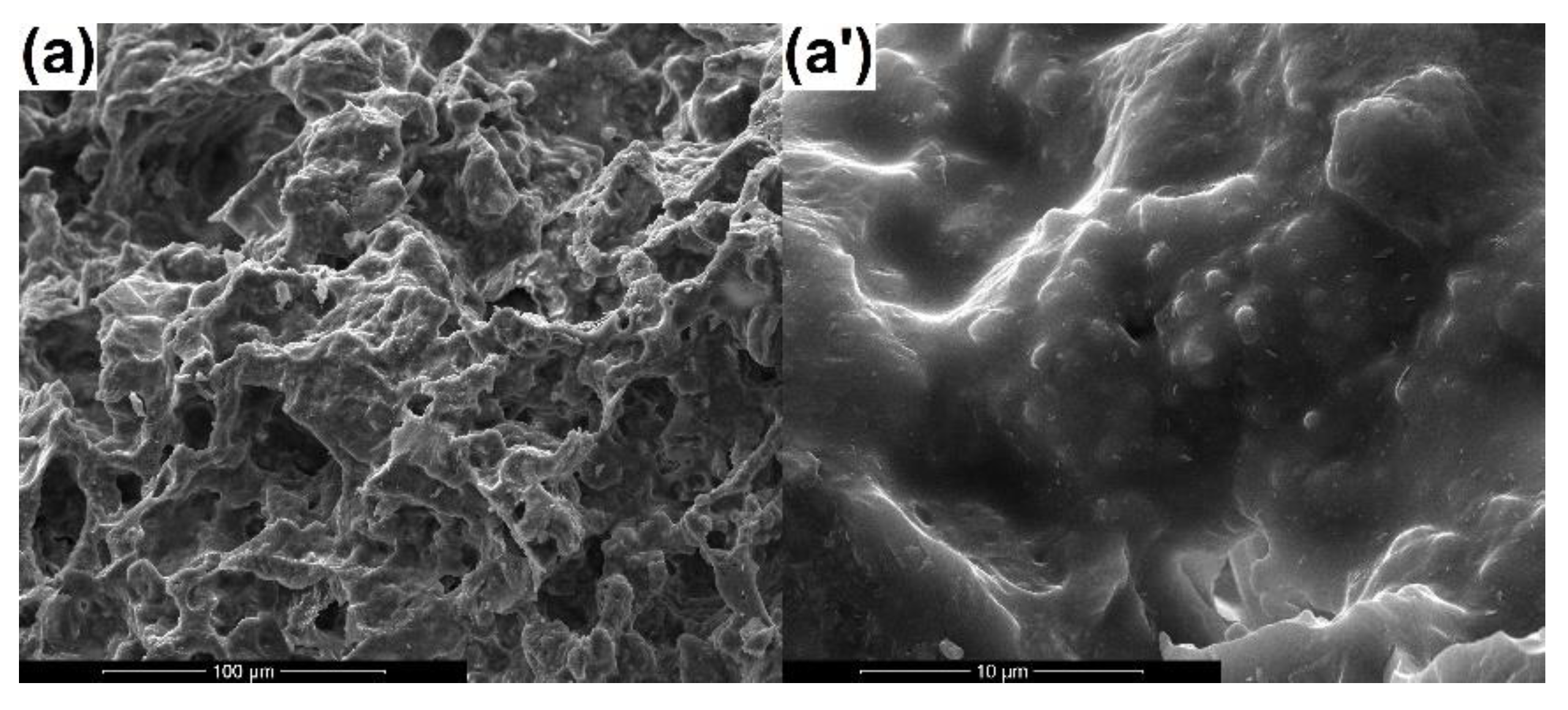 Coatings Free Full Text Ceo2 Containing Thin Films As Bioactive Coatings For Orthopaedic Implants Html