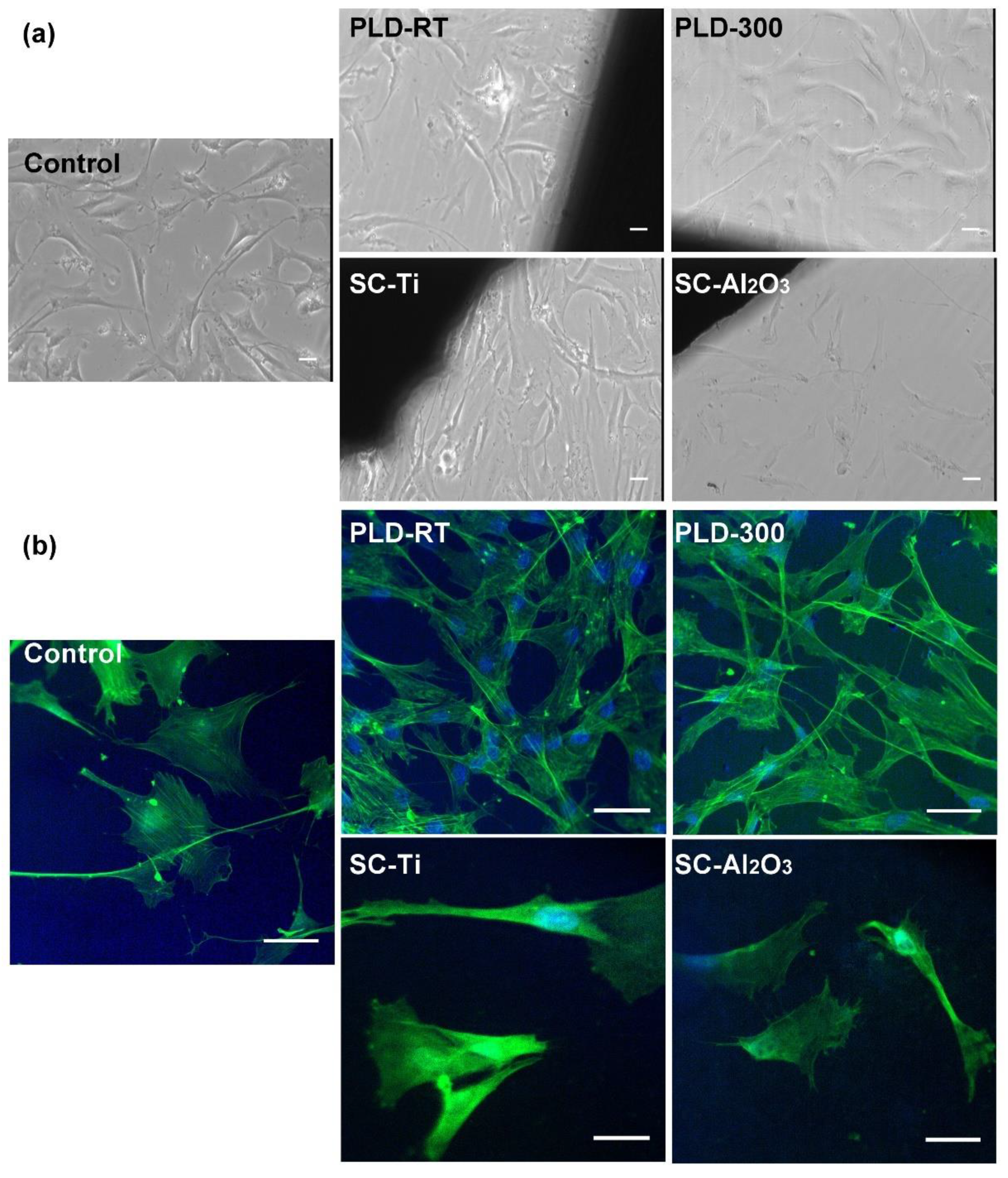 Coatings Free Full Text Ceo2 Containing Thin Films As Bioactive Coatings For Orthopaedic Implants Html