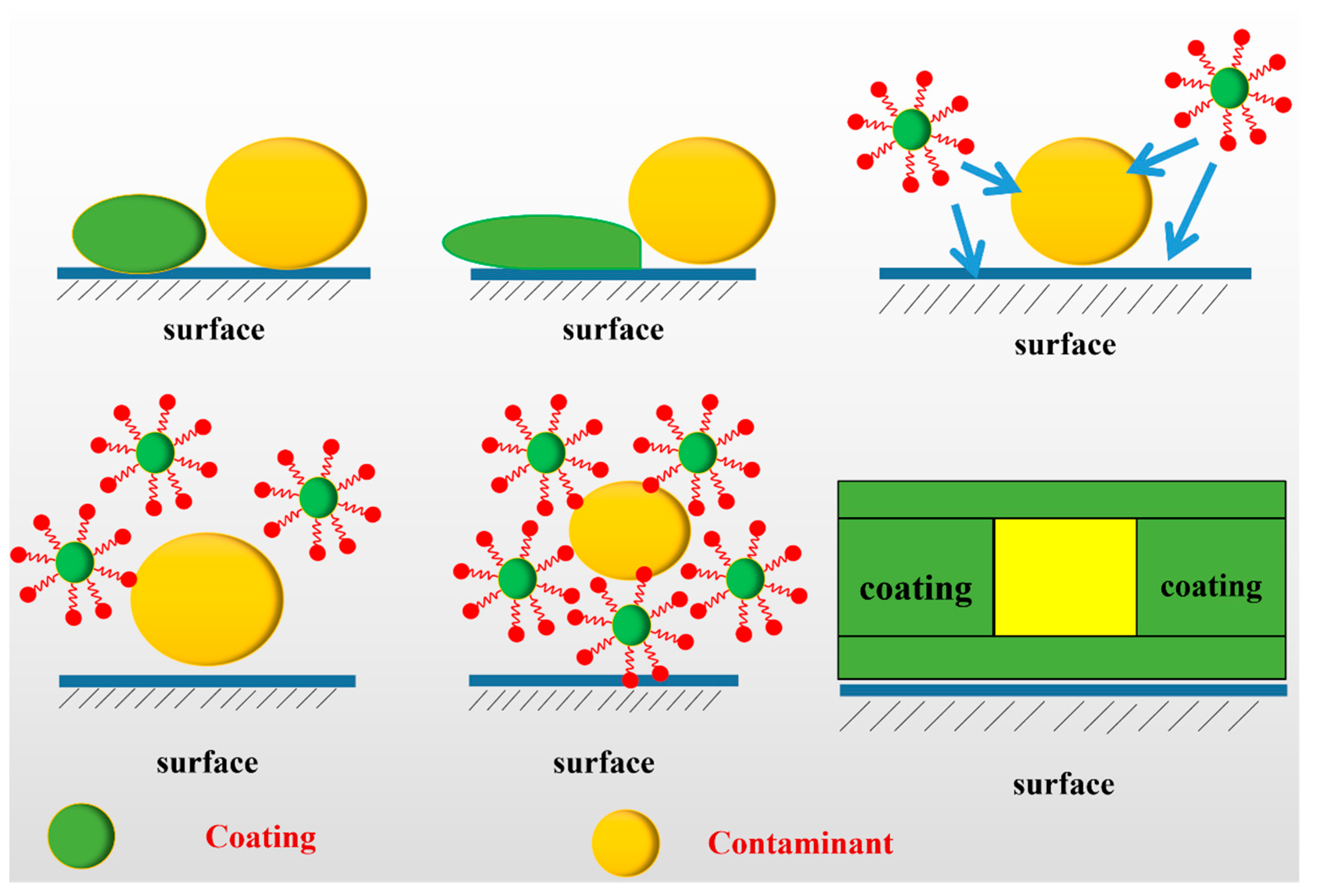 Coatings 10 00649 g006