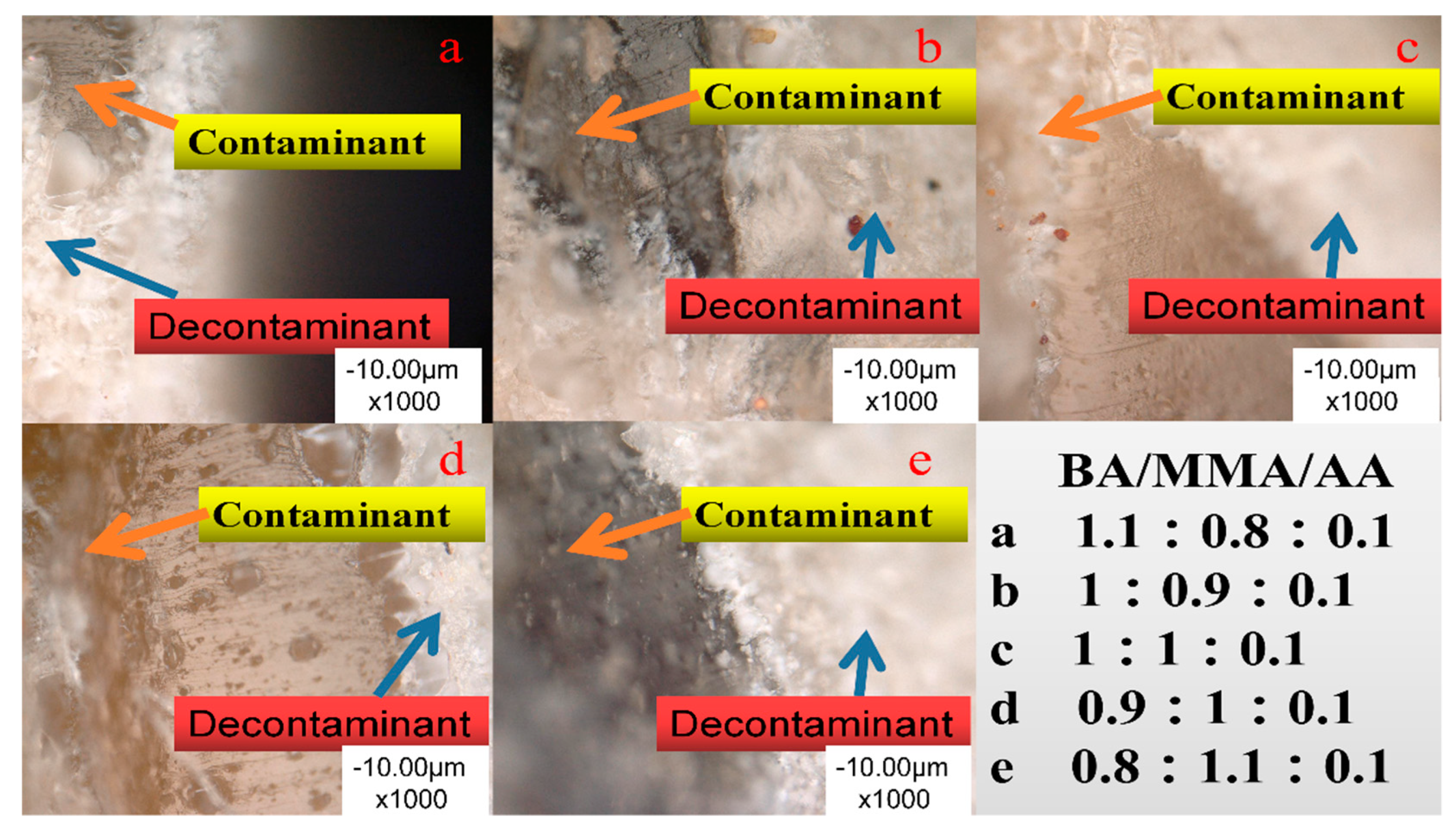 Coatings 10 00649 g012