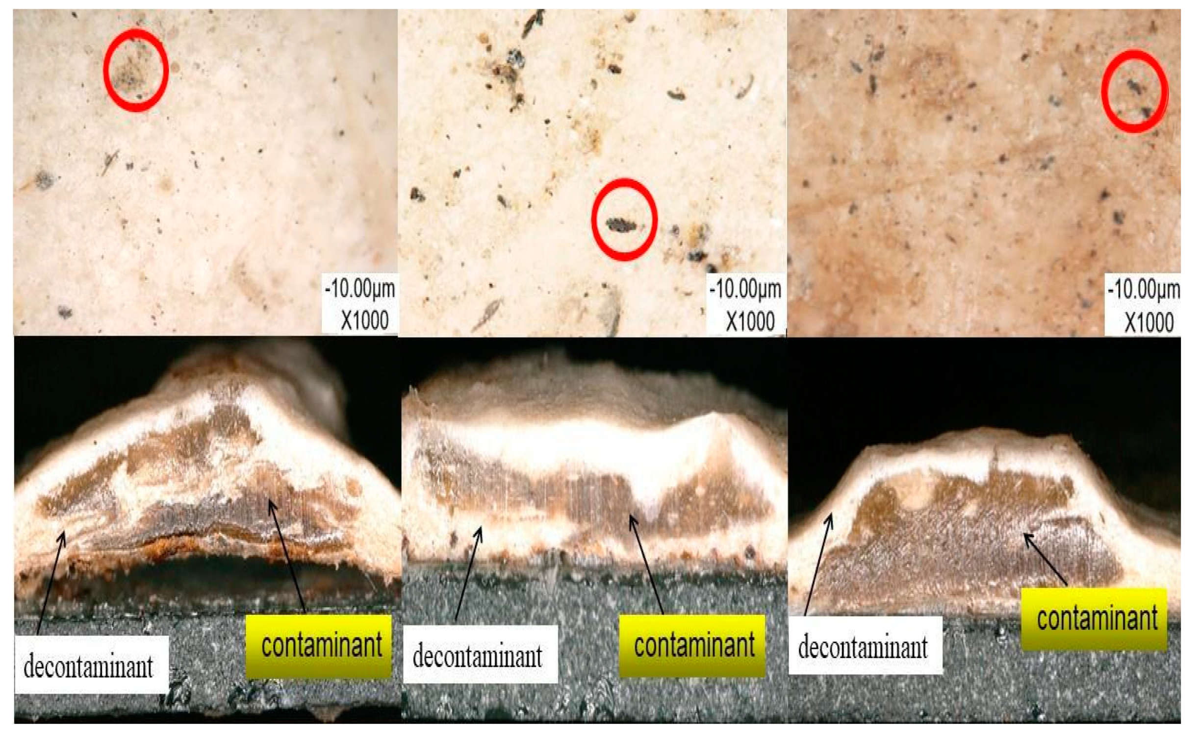 Coatings 10 00649 g013