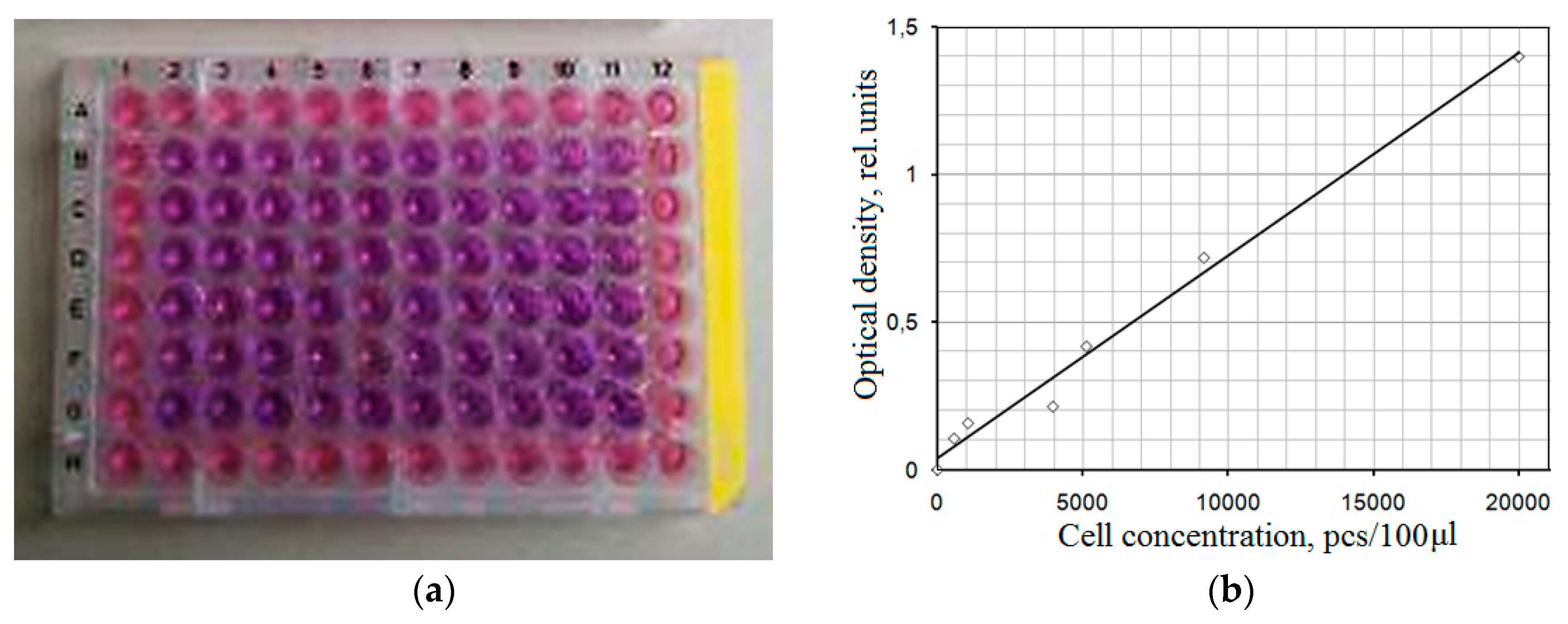 Coatings 10 00664 g002