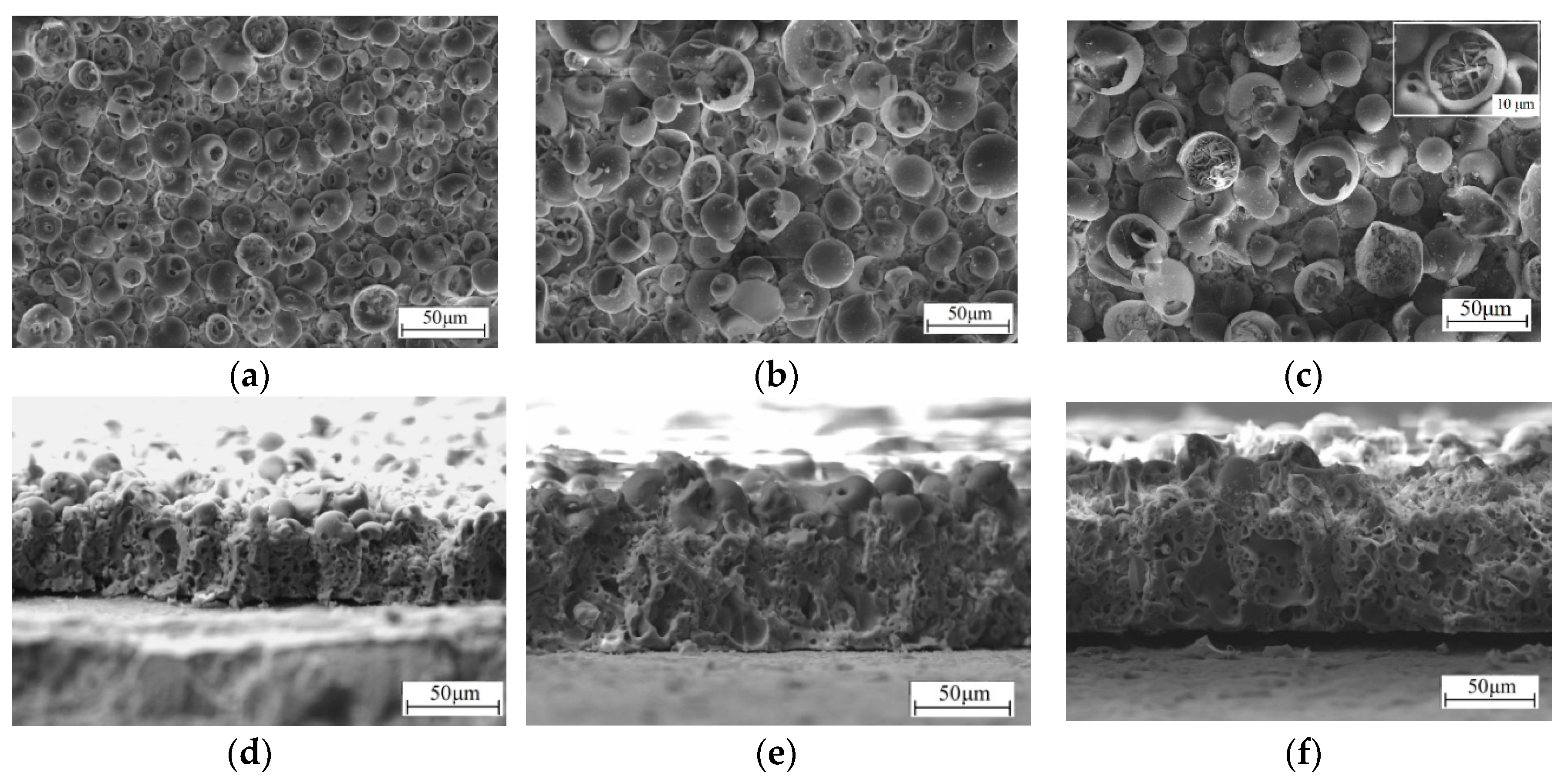 Coatings 10 00664 g004