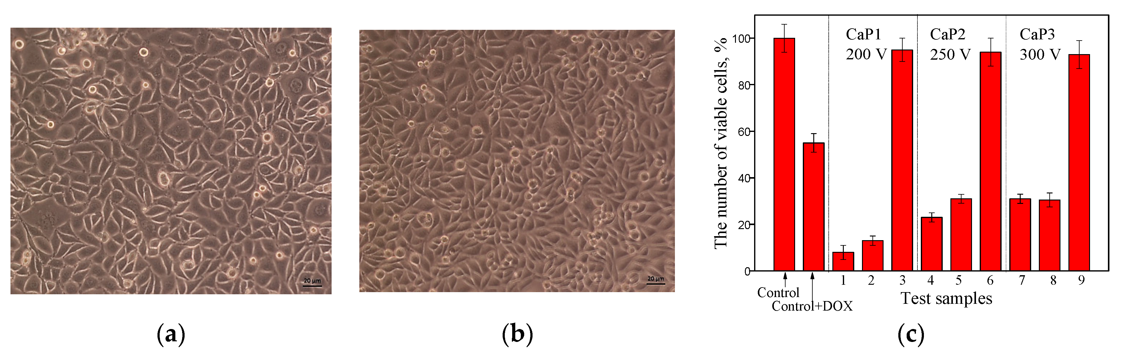 Coatings 10 00664 g009