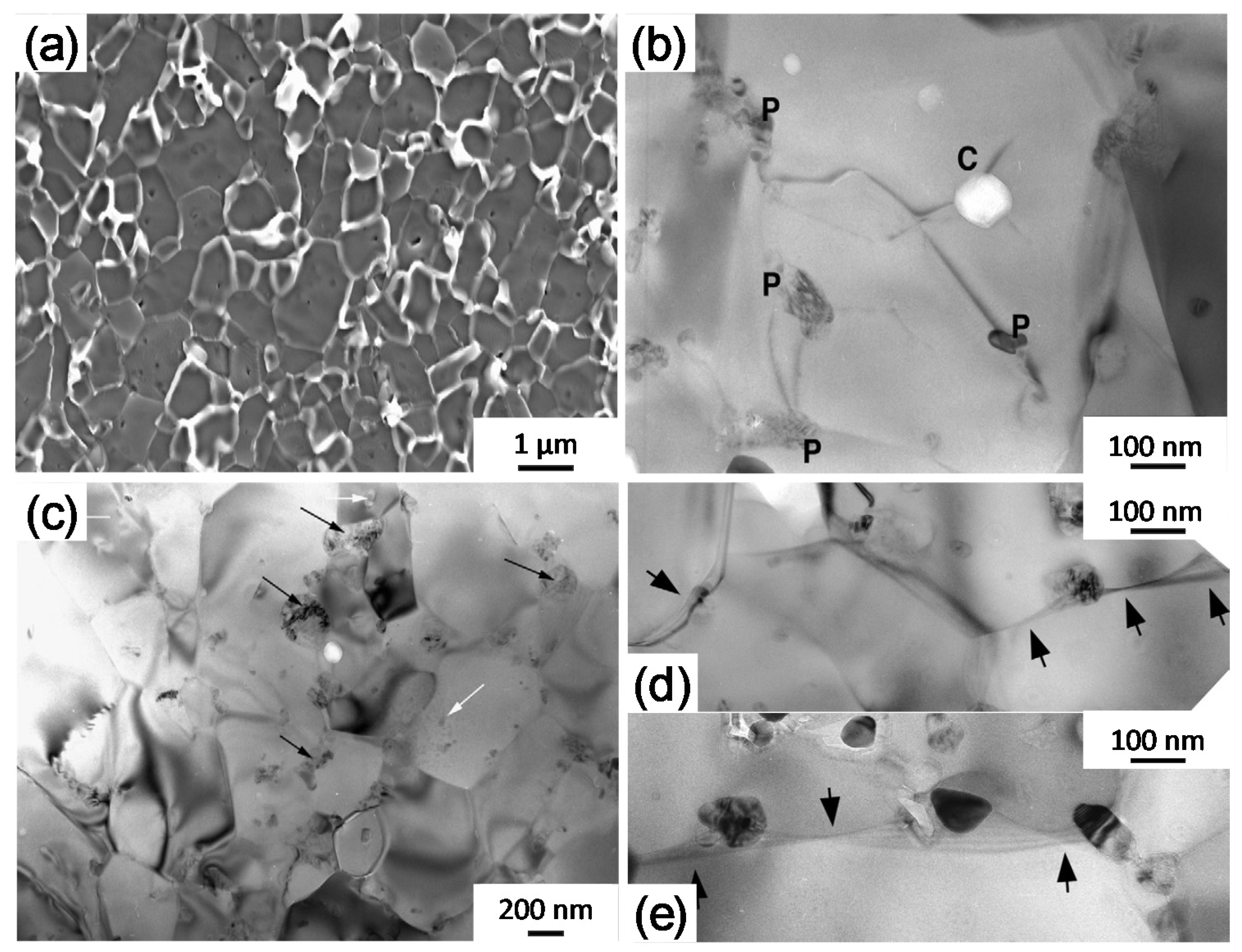 Coatings 10 00672 g008