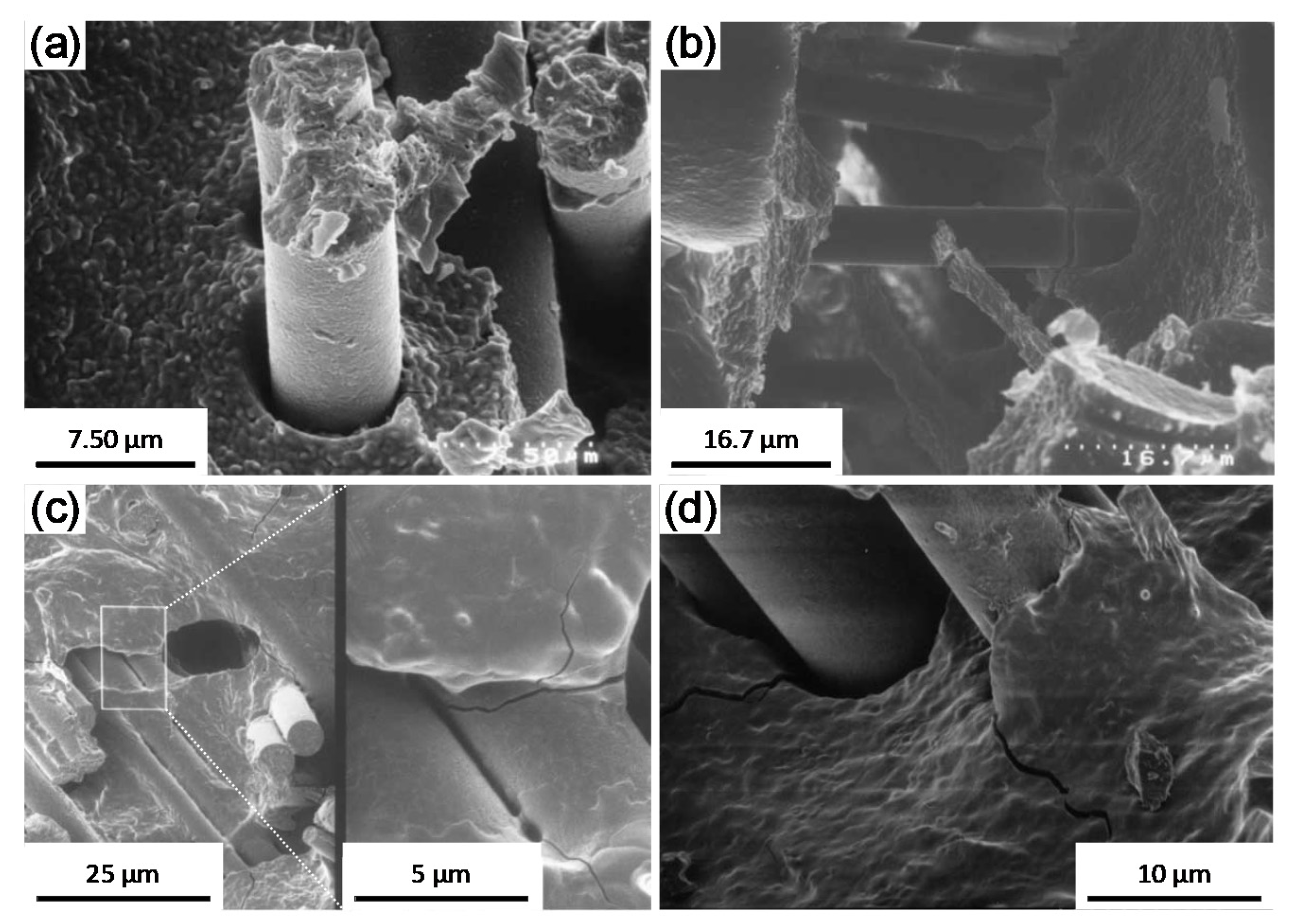 Coatings 10 00672 g011