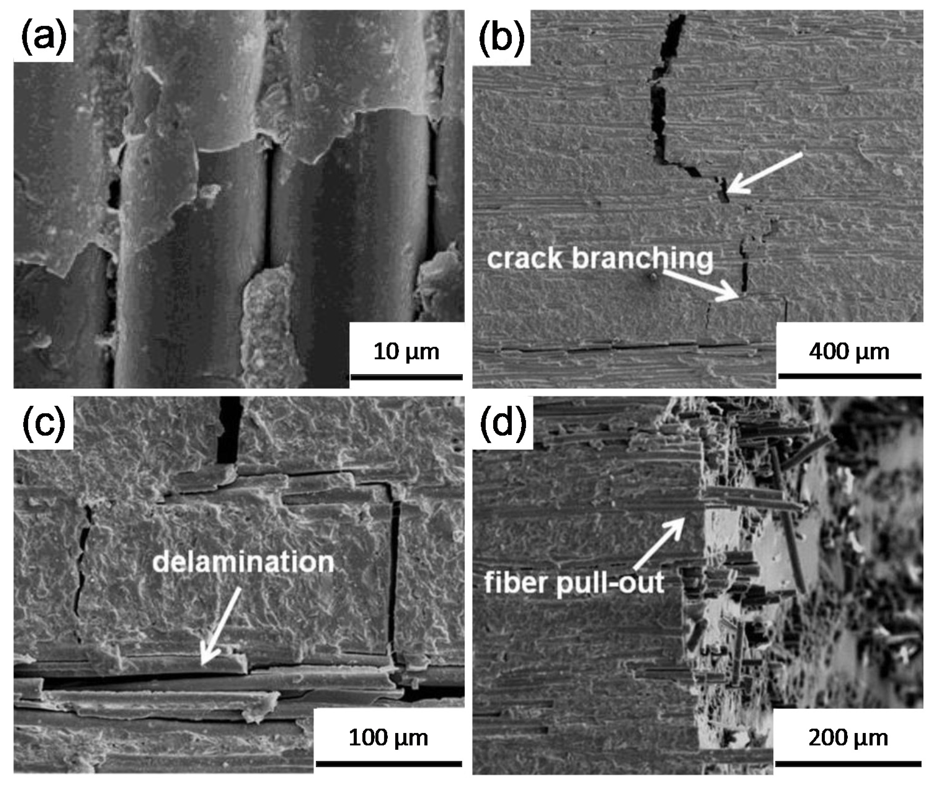 Coatings 10 00672 g012