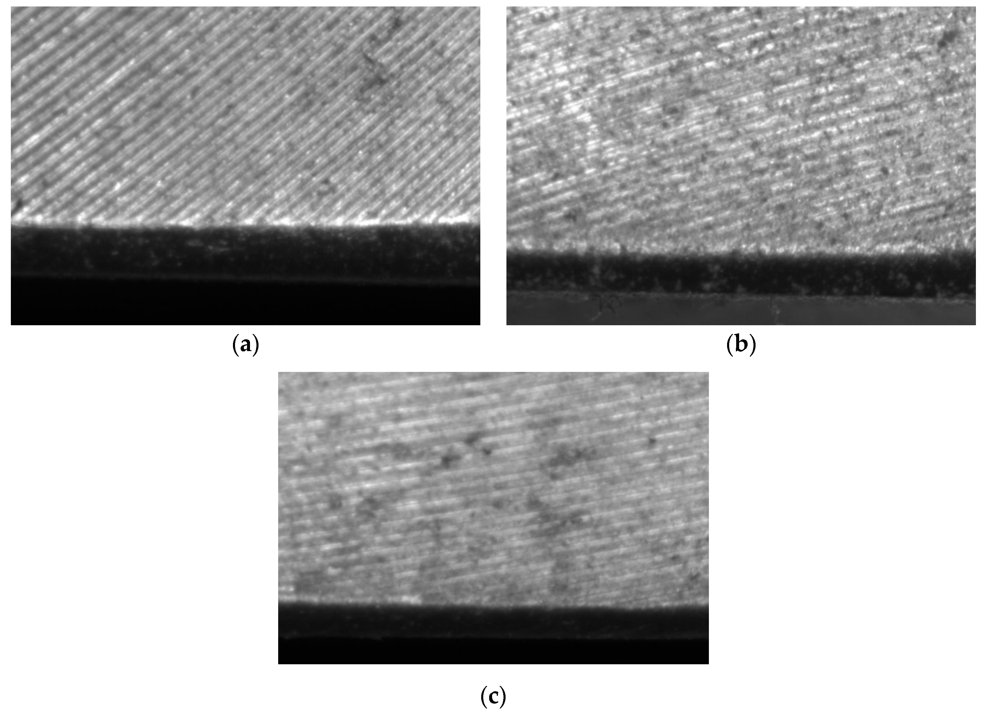 Coatings 10 00676 g003