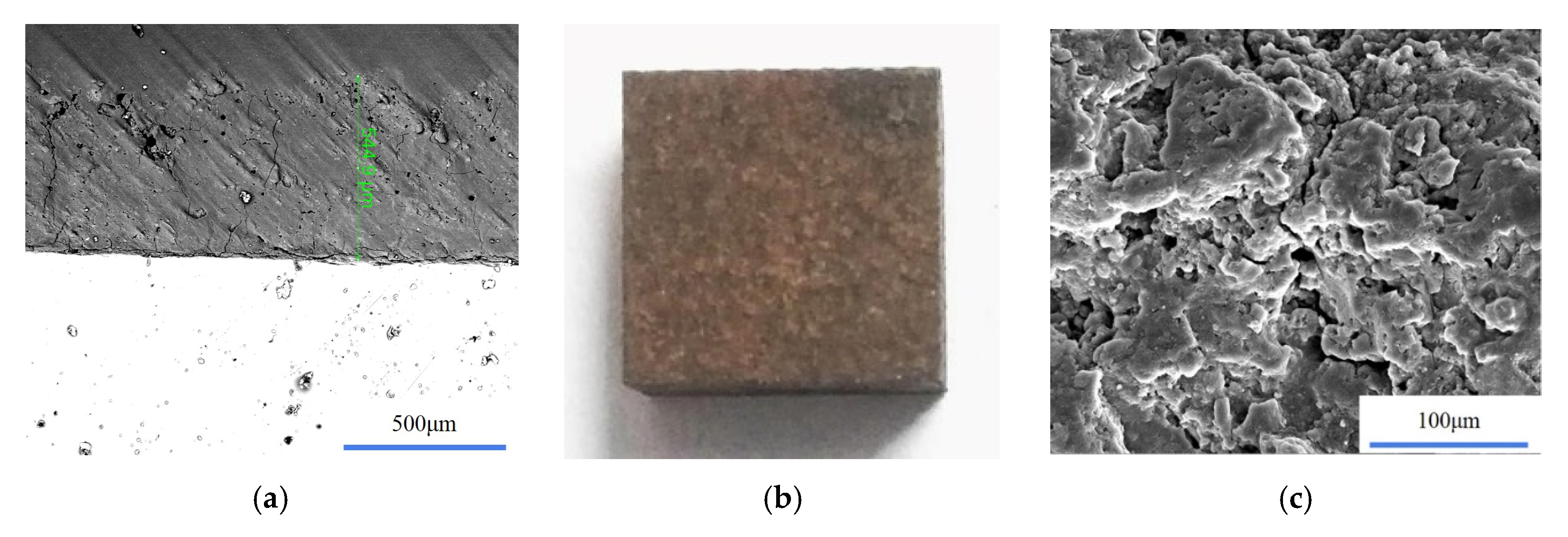 Coatings 10 00716 g004