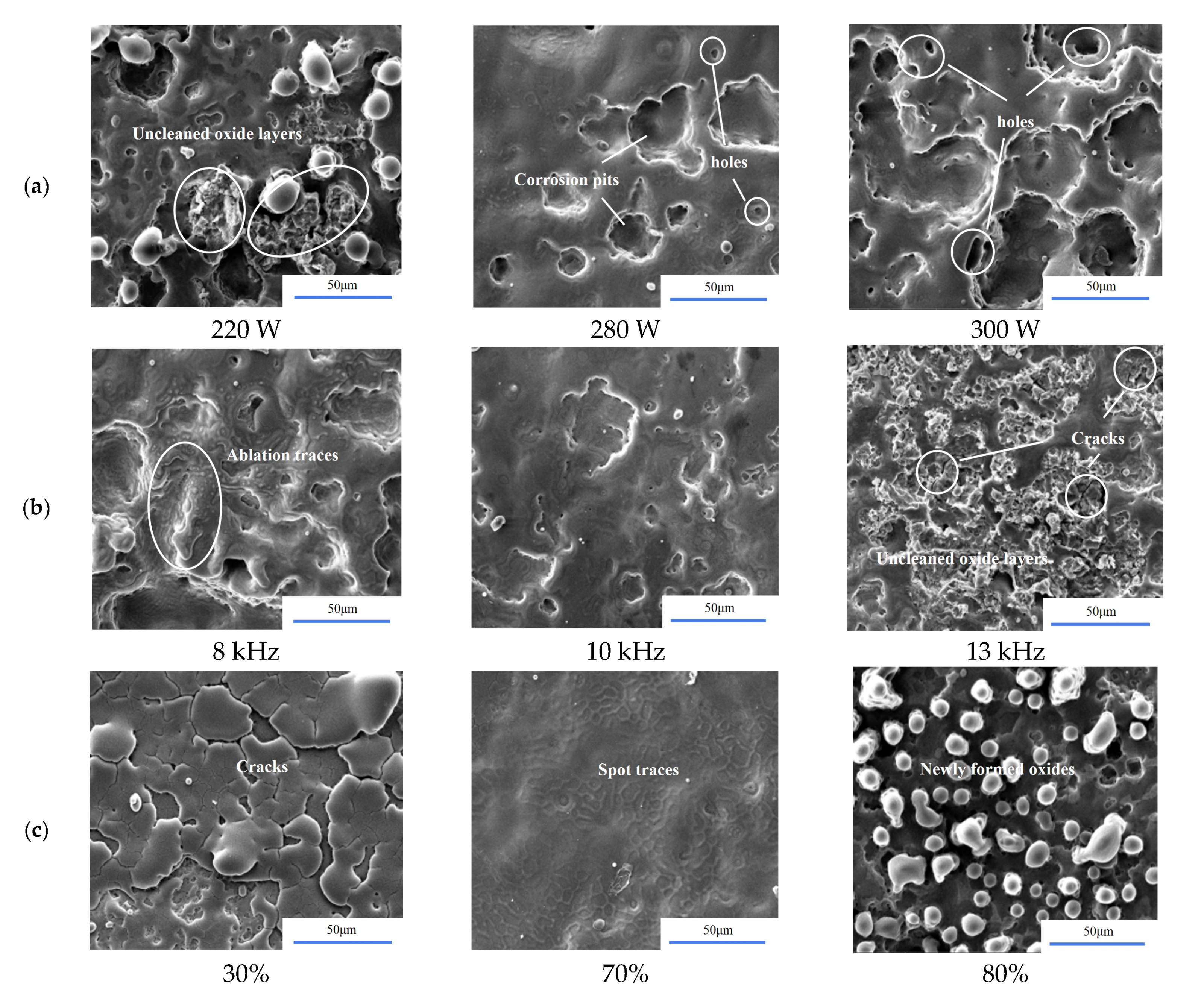 Coatings 10 00716 g008