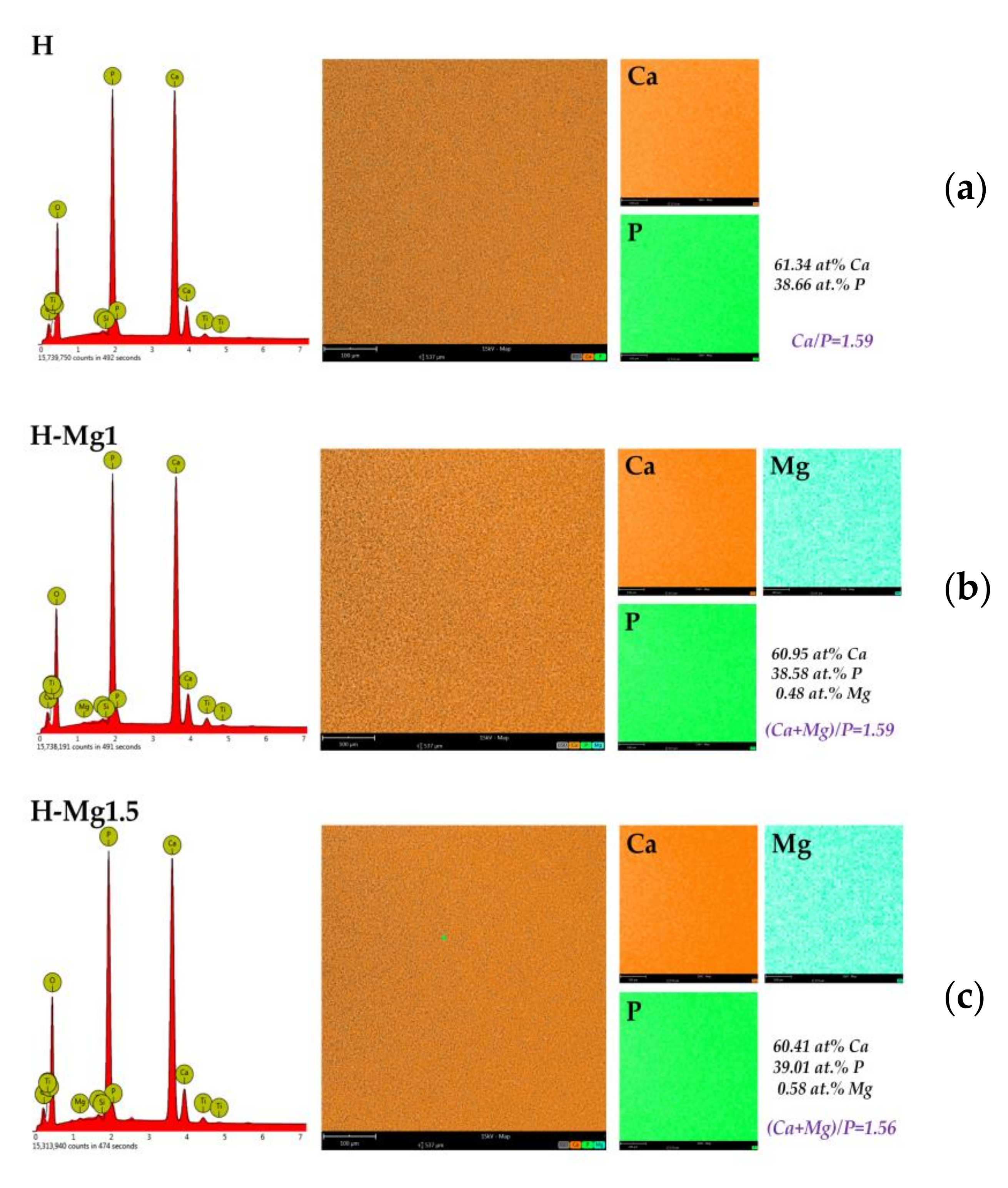 Coatings 10 00727 g003