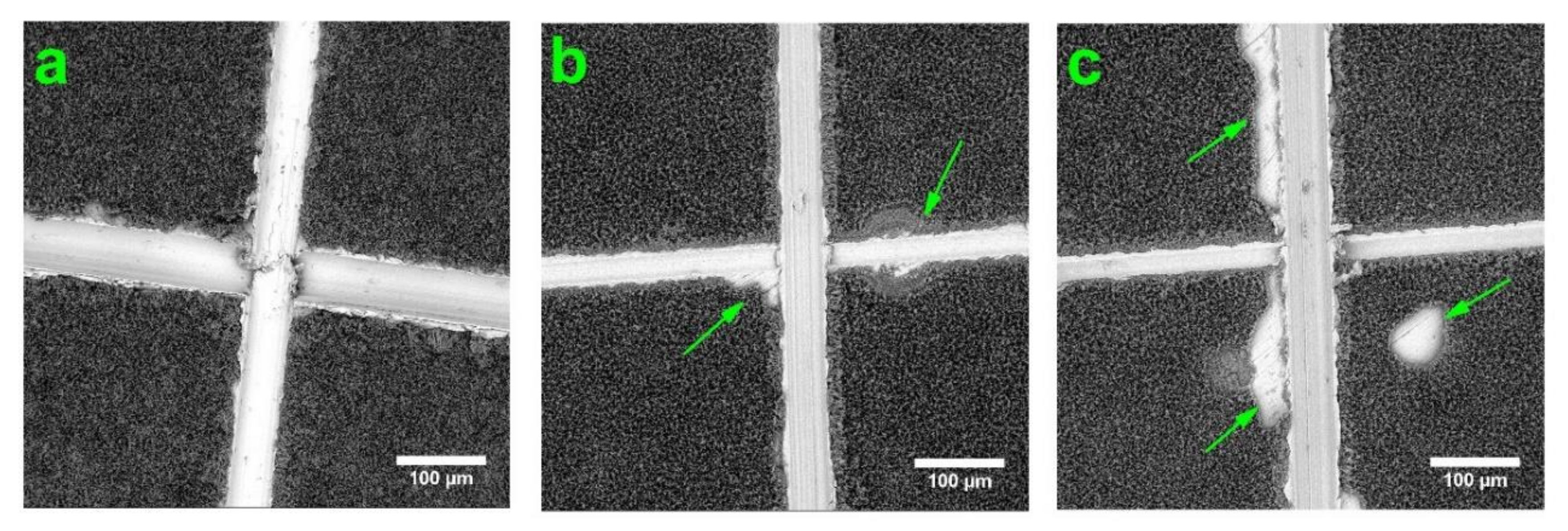 Coatings 10 00727 g008