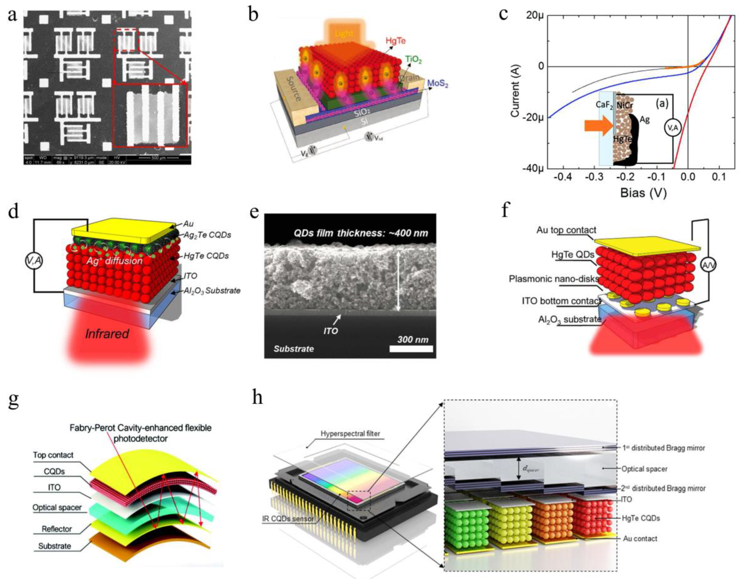 Coatings 10 00760 g003 Coatings 10 00760 g003