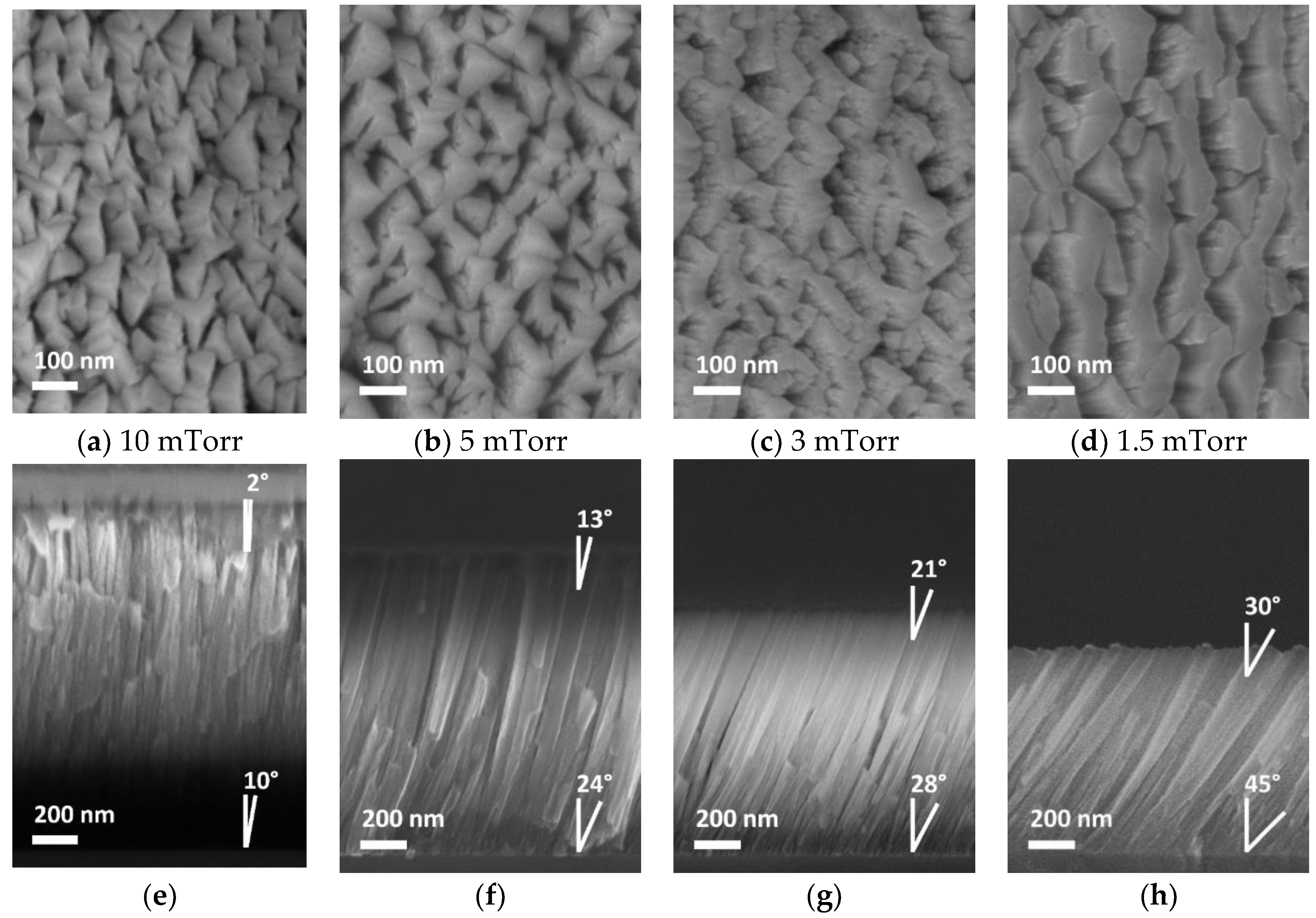 Coatings 10 00768 g002