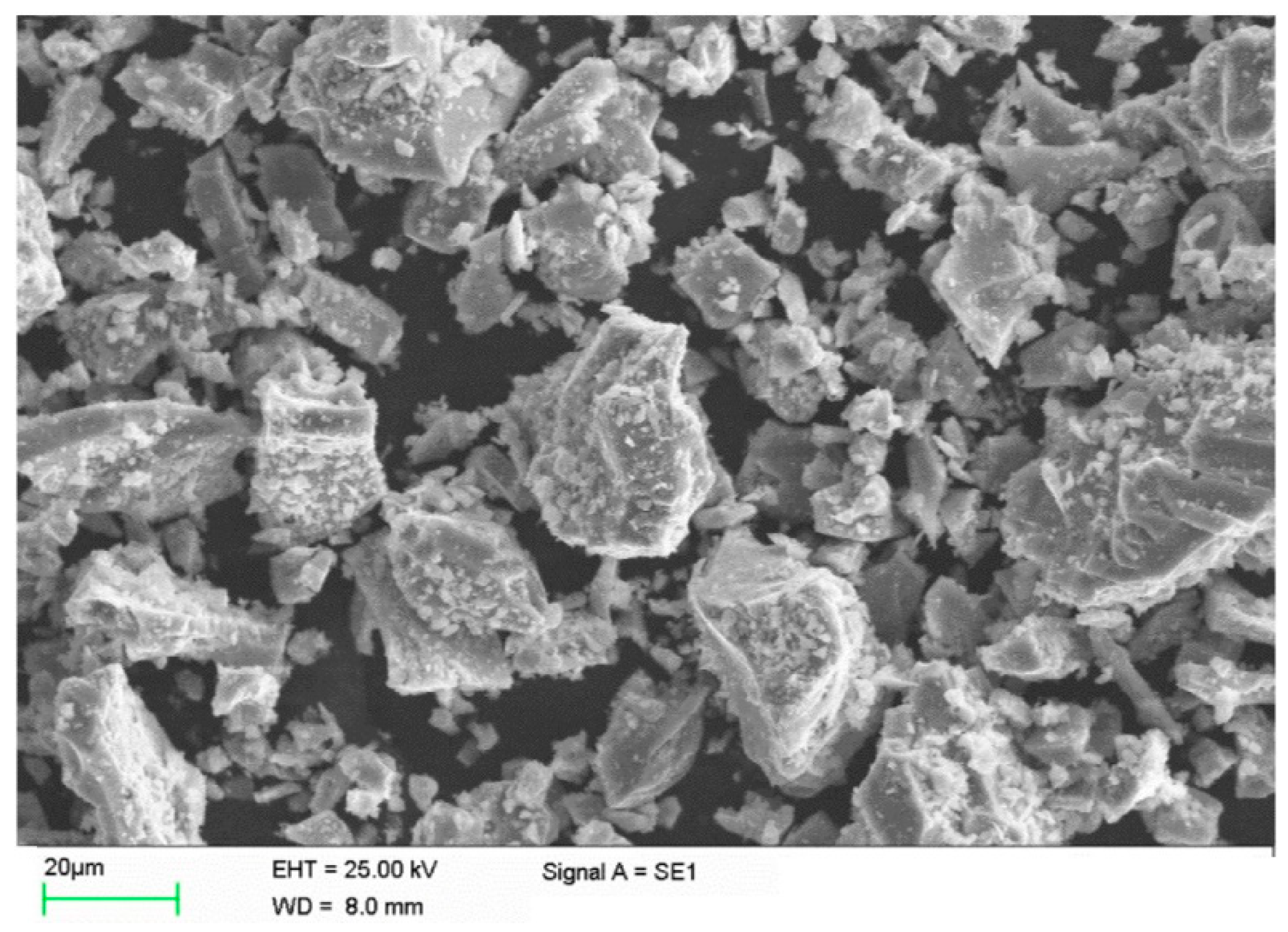 Coatings 10 00789 g001