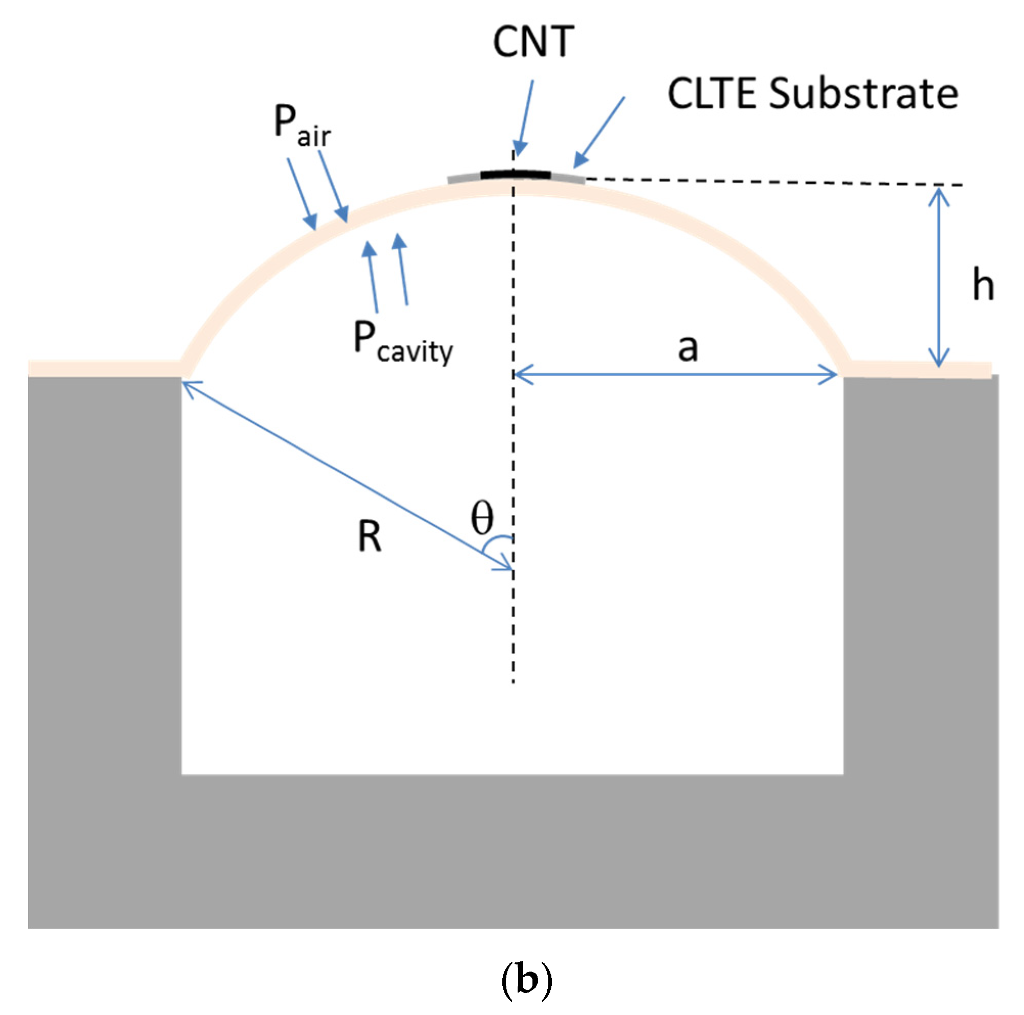 Coatings 10 00792 g002b