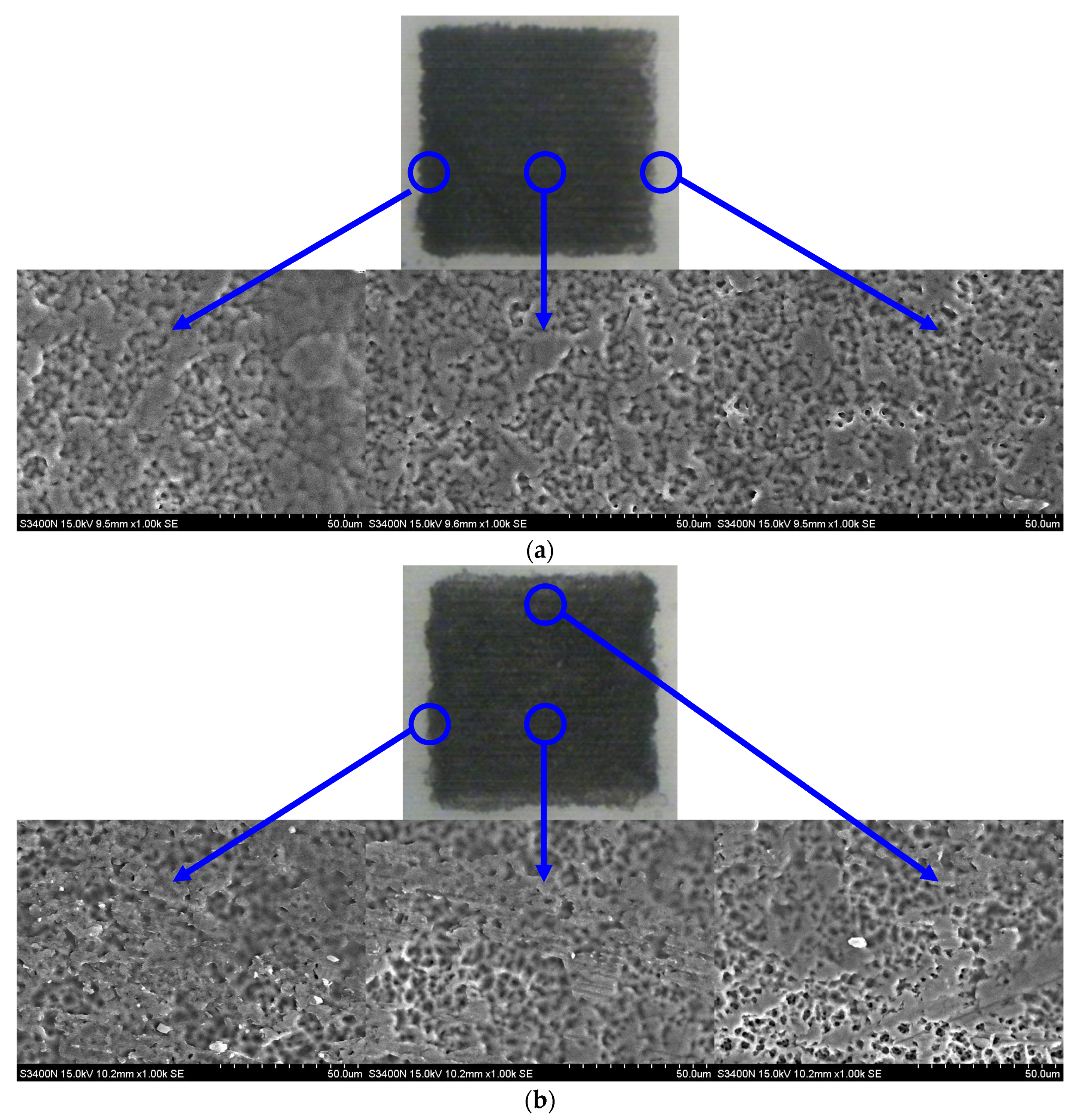 Coatings 10 00792 g004a
