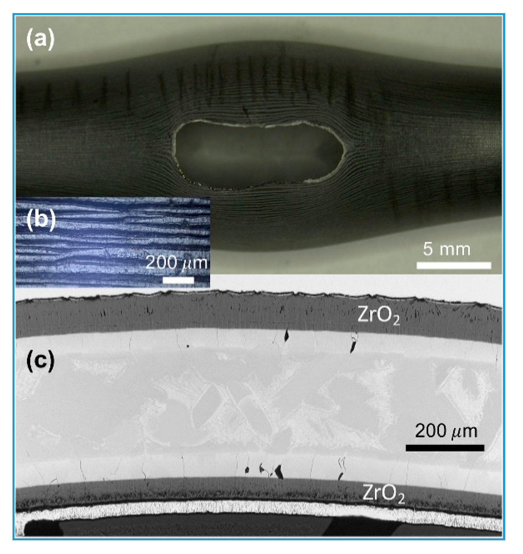 Coatings 10 00808 g004