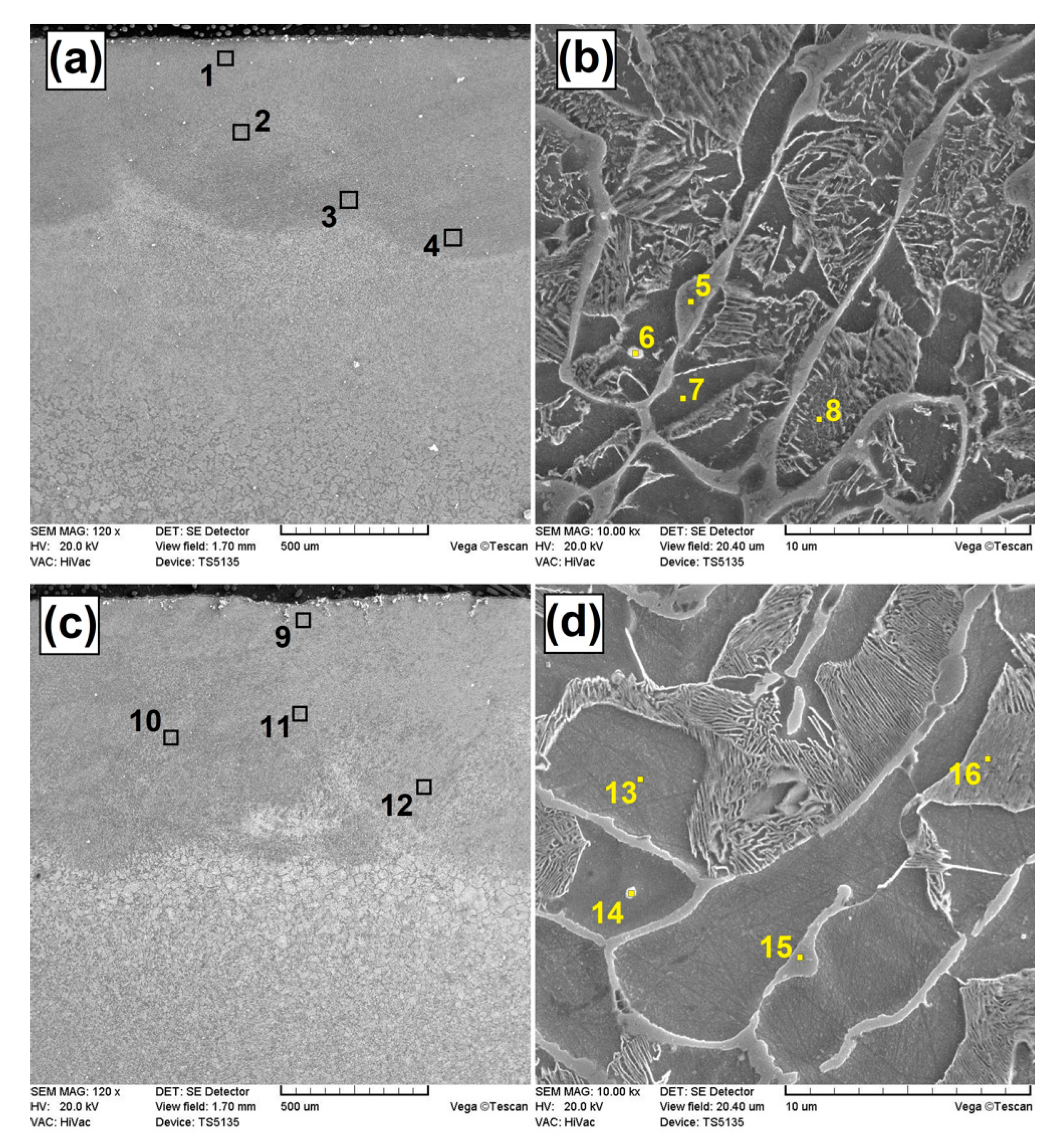 Coatings 10 00809 g004