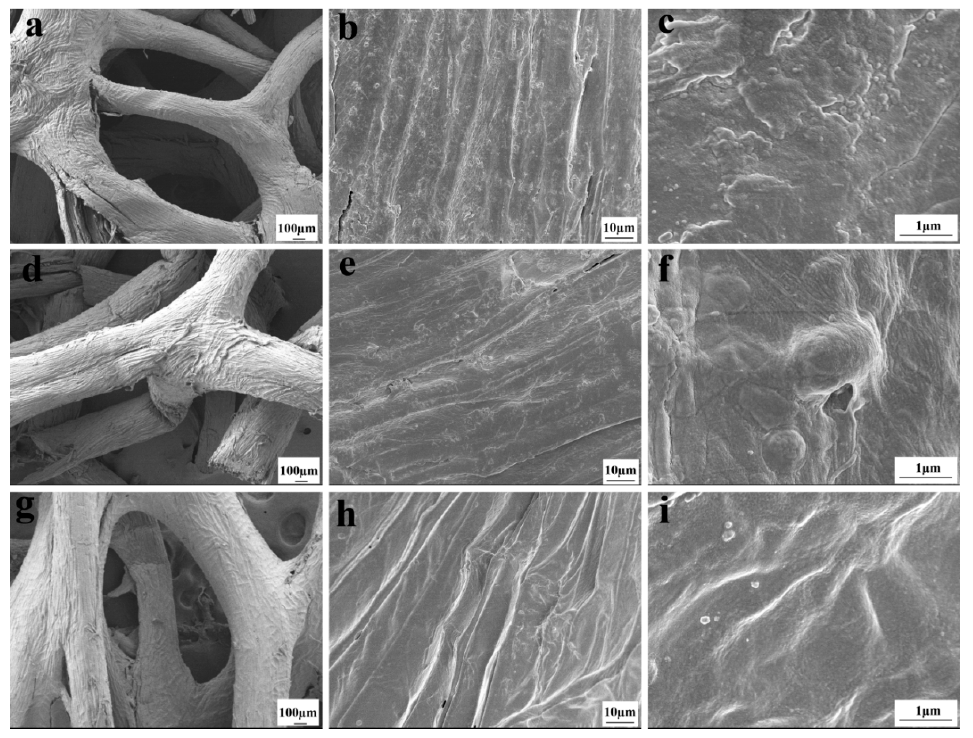 Coatings 10 00814 g002