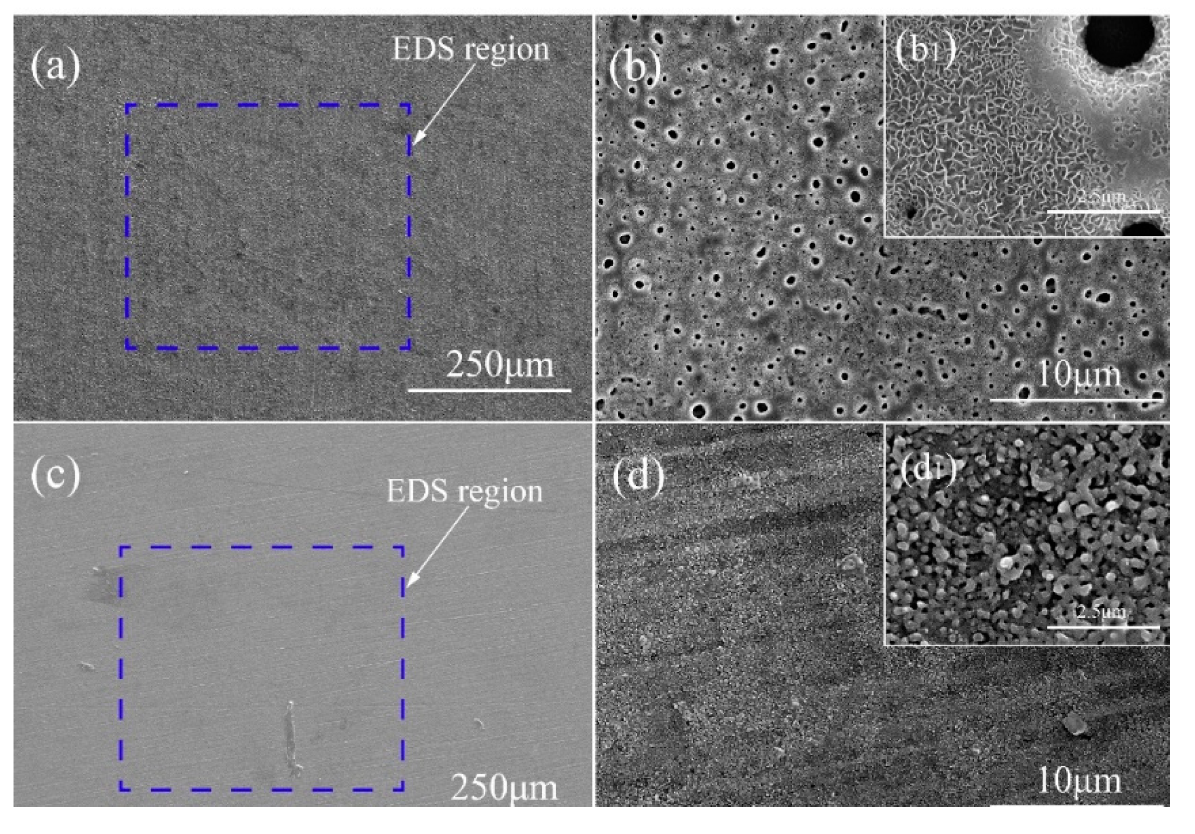 Coatings 10 00817 g003