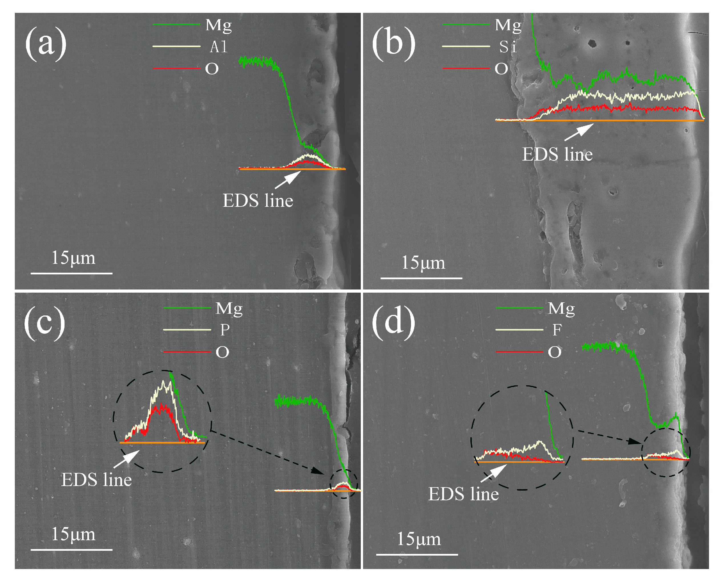 Coatings 10 00817 g006