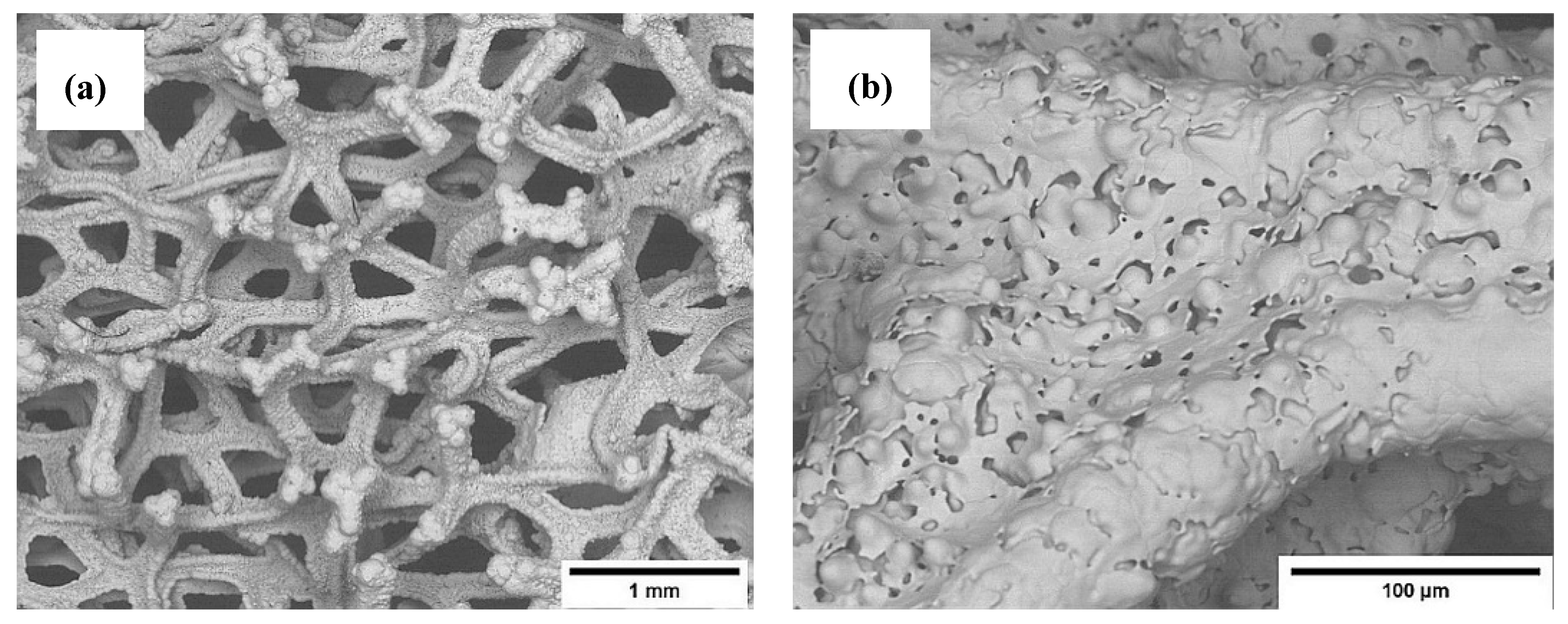 Coatings 10 00822 g001 Coatings 10 00822 g001