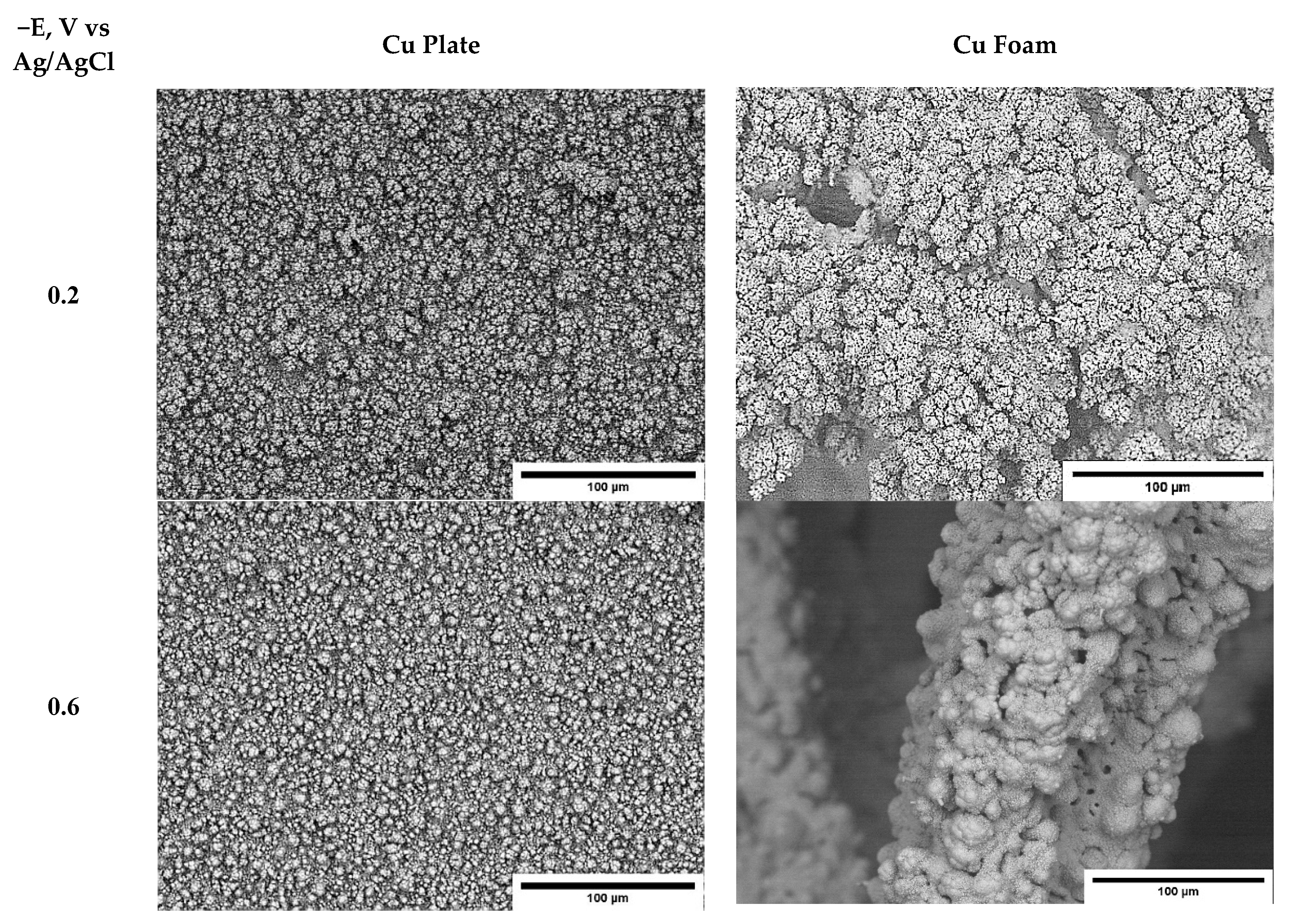Coatings 10 00822 g003 Coatings 10 00822 g003