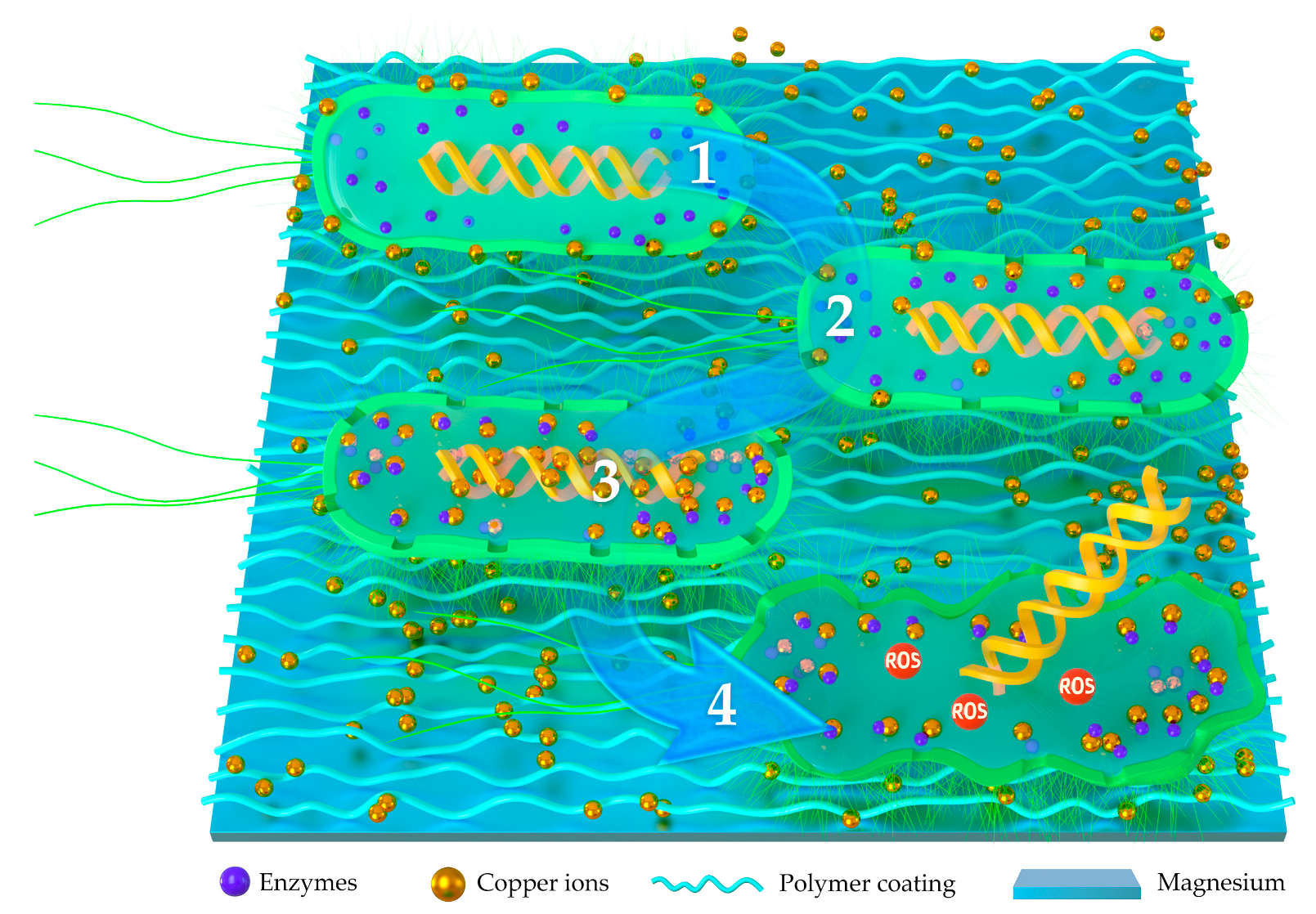 Coatings 10 00828 g002