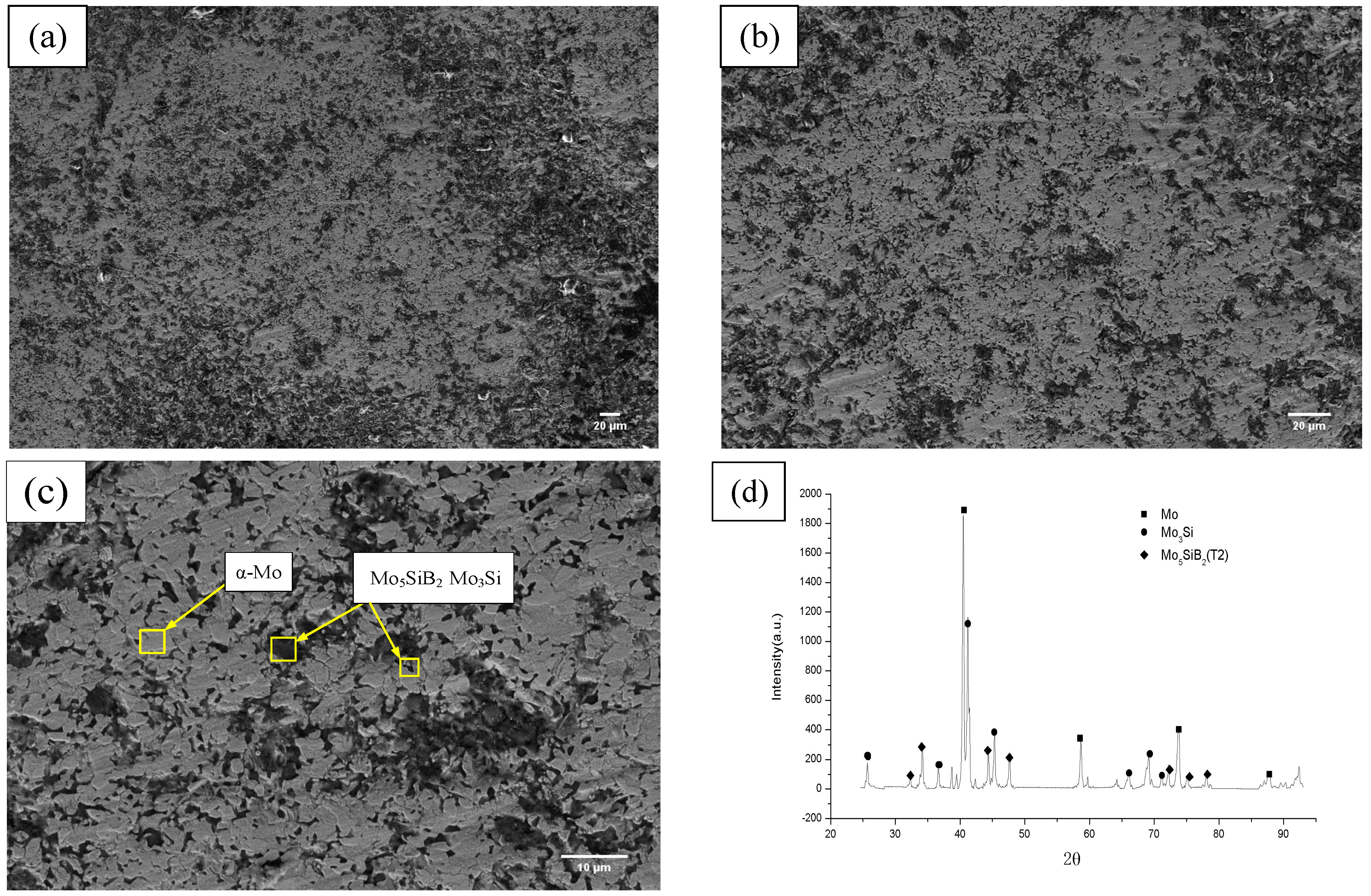 Coatings 10 00833 g003