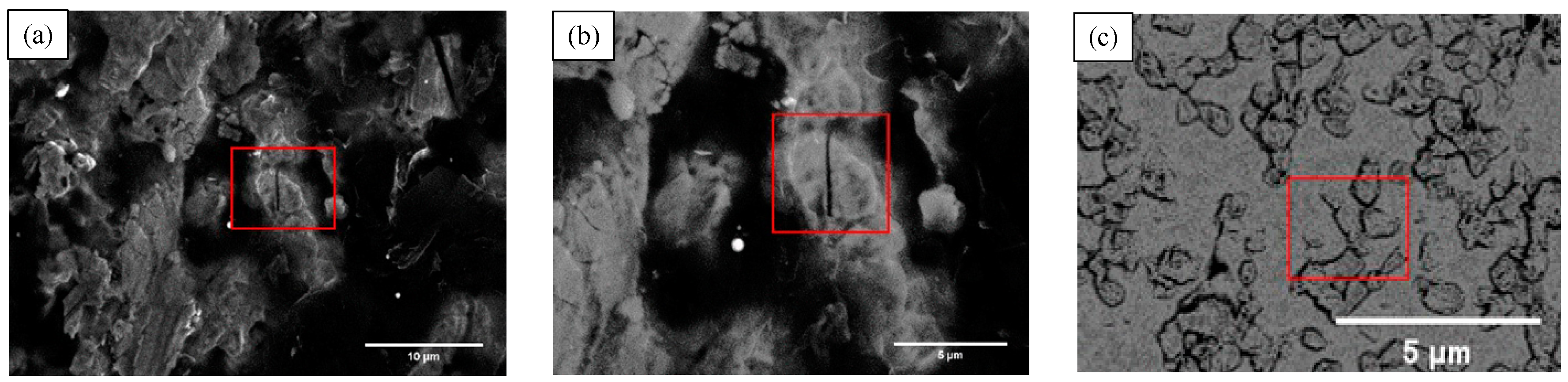 Coatings 10 00833 g005
