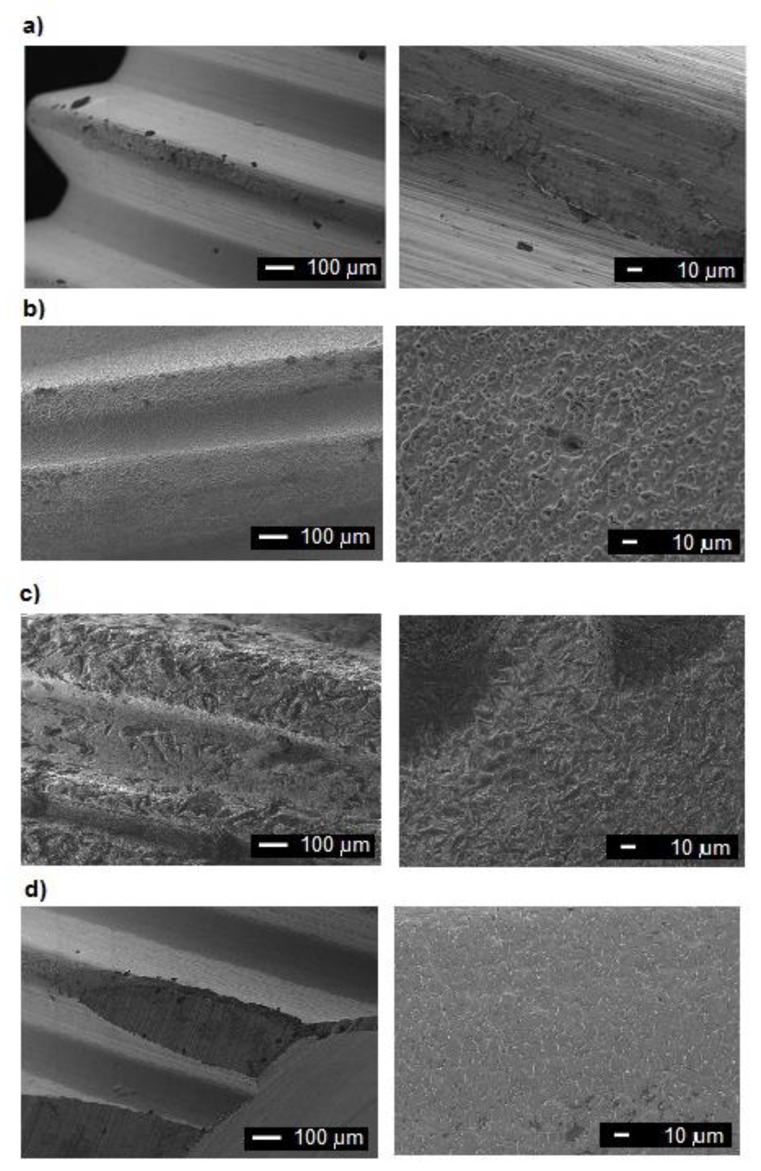 Coatings 10 00836 g002 Coatings 10 00836 g002