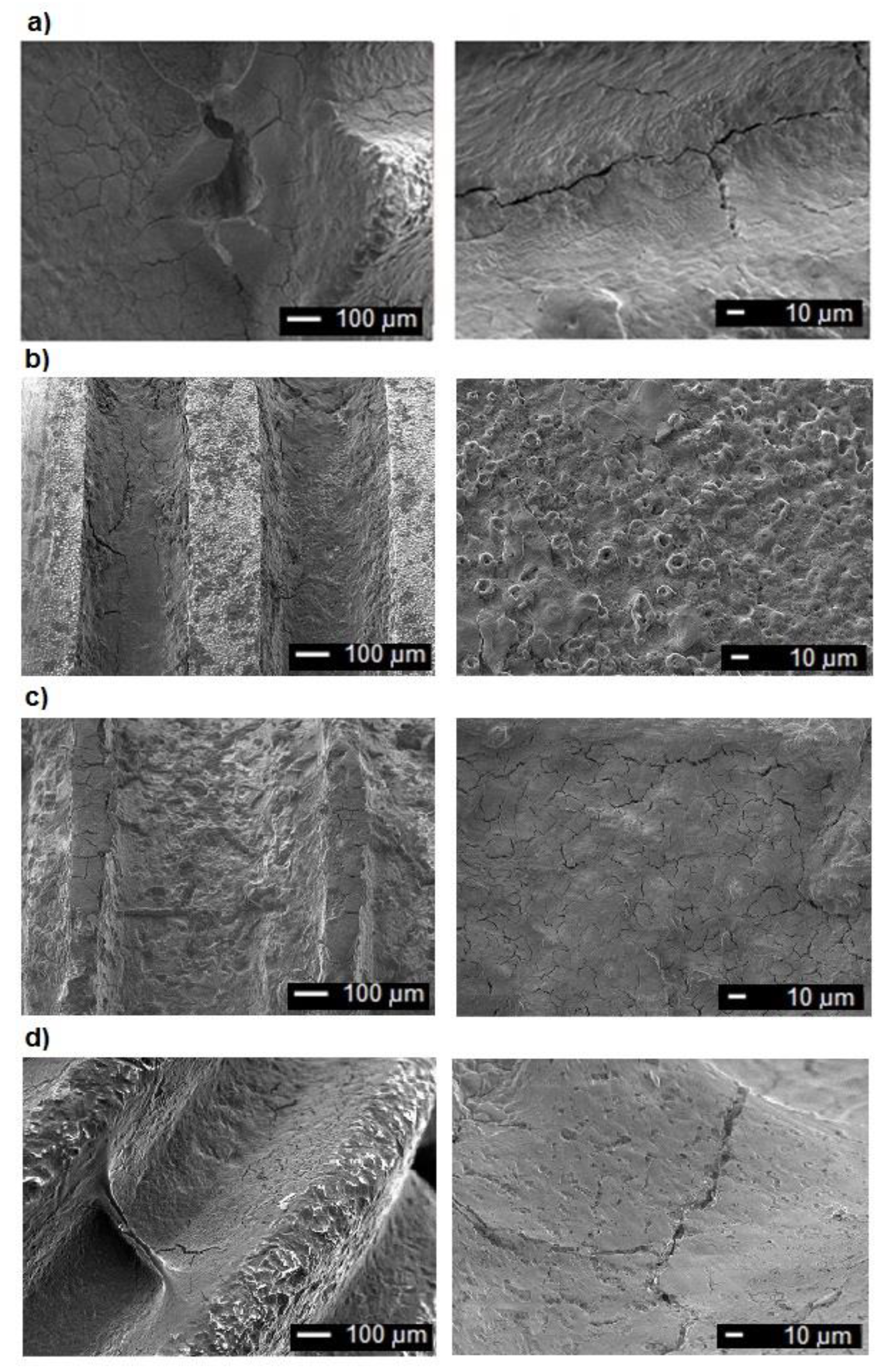 Coatings 10 00836 g003 Coatings 10 00836 g003